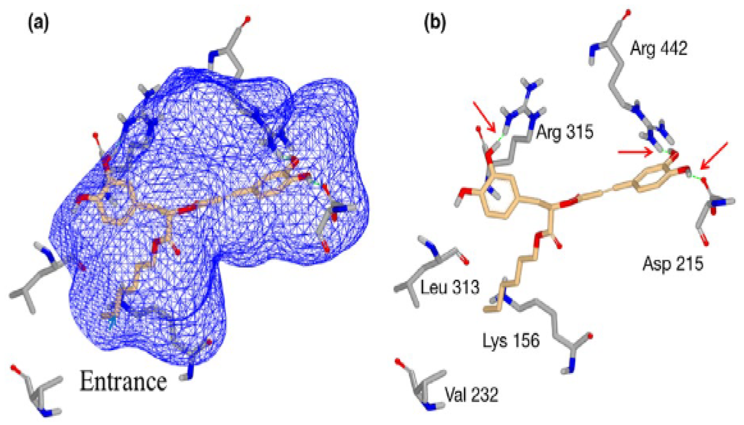 Molecules 28 04243 g003 Molecules 28 04243 g003