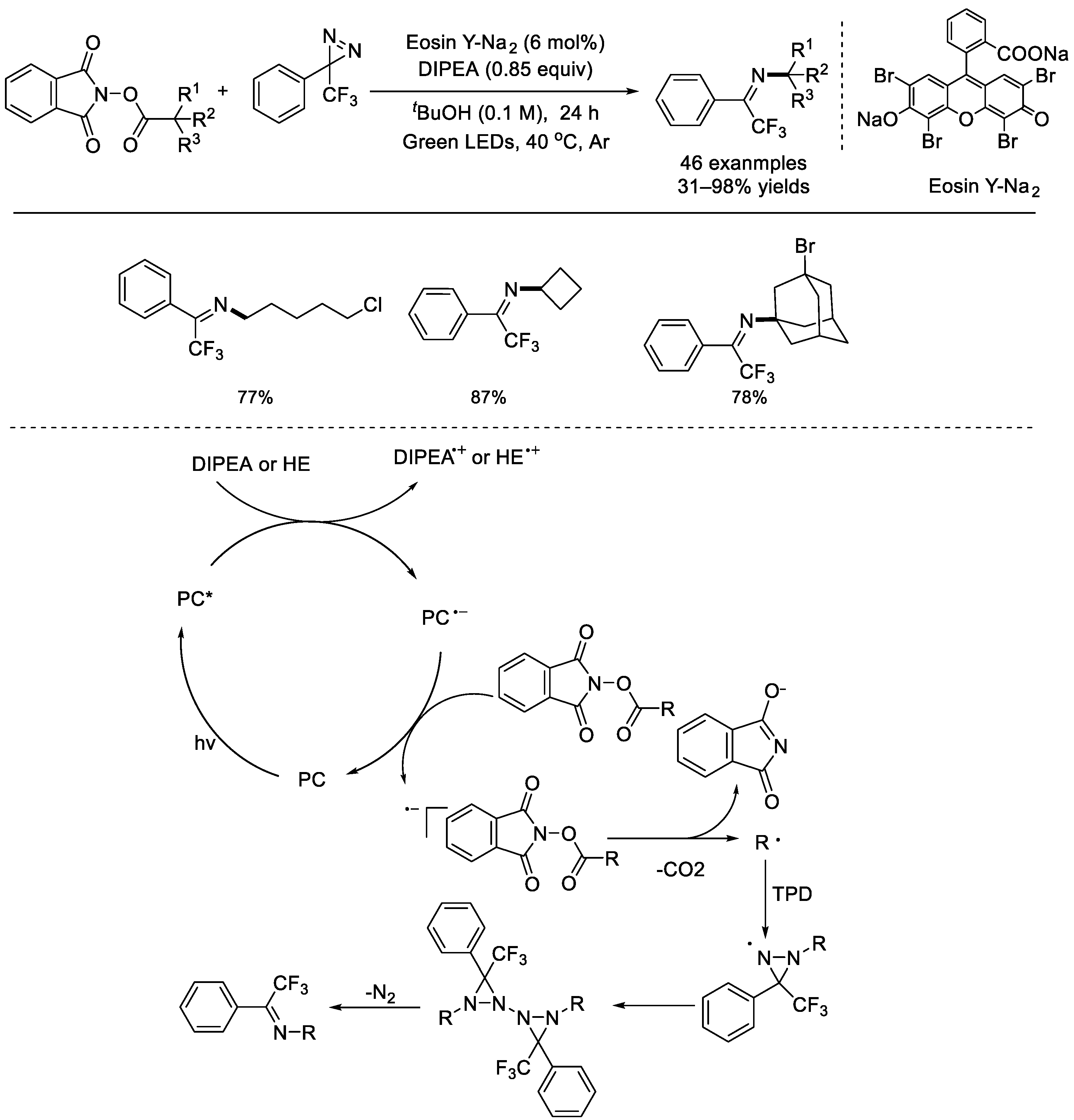 Molecules 28 04249 sch032