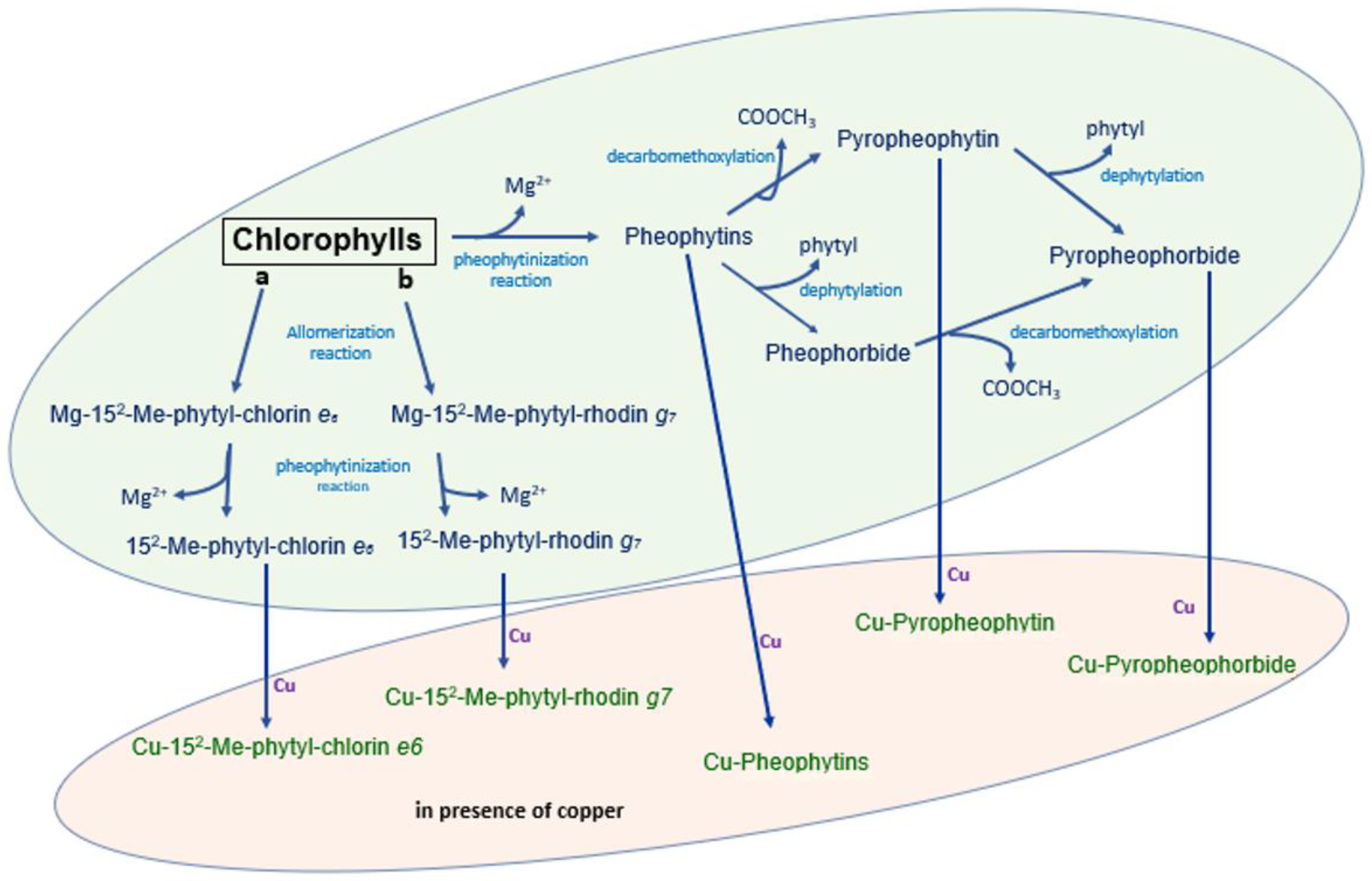 Molecules 28 04250 g004 Molecules 28 04250 g004