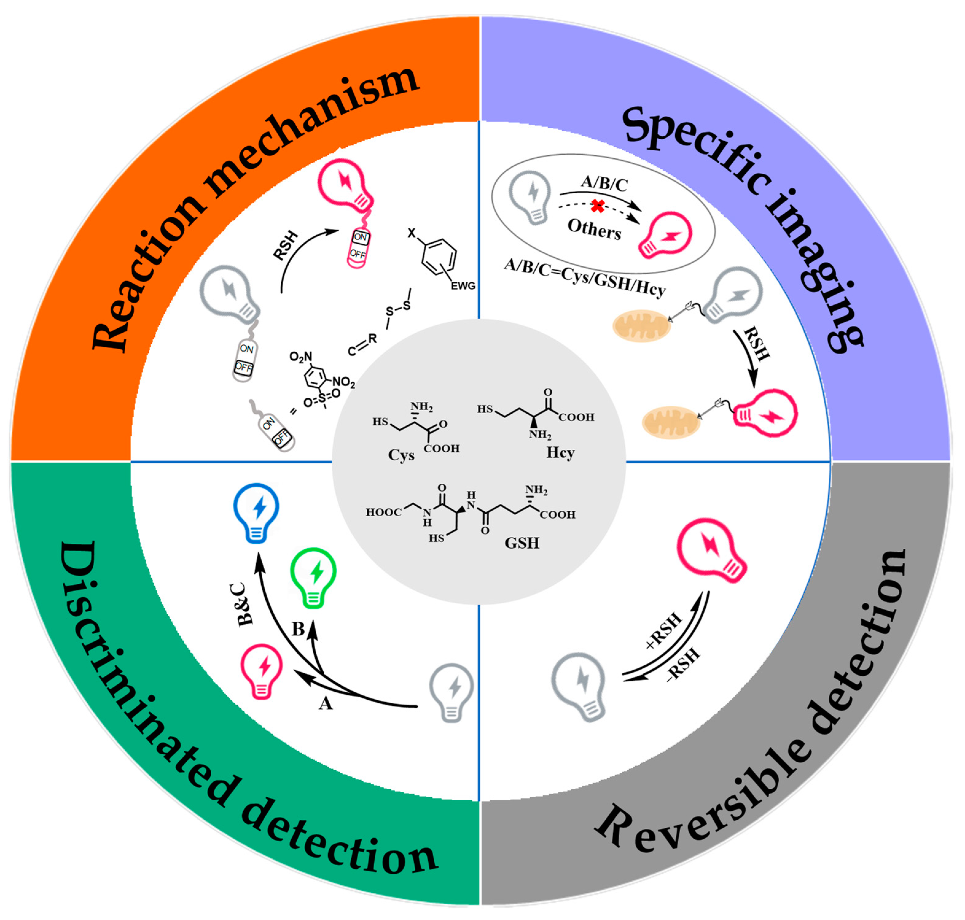 Molecules 28 04252 g001 Molecules 28 04252 g001