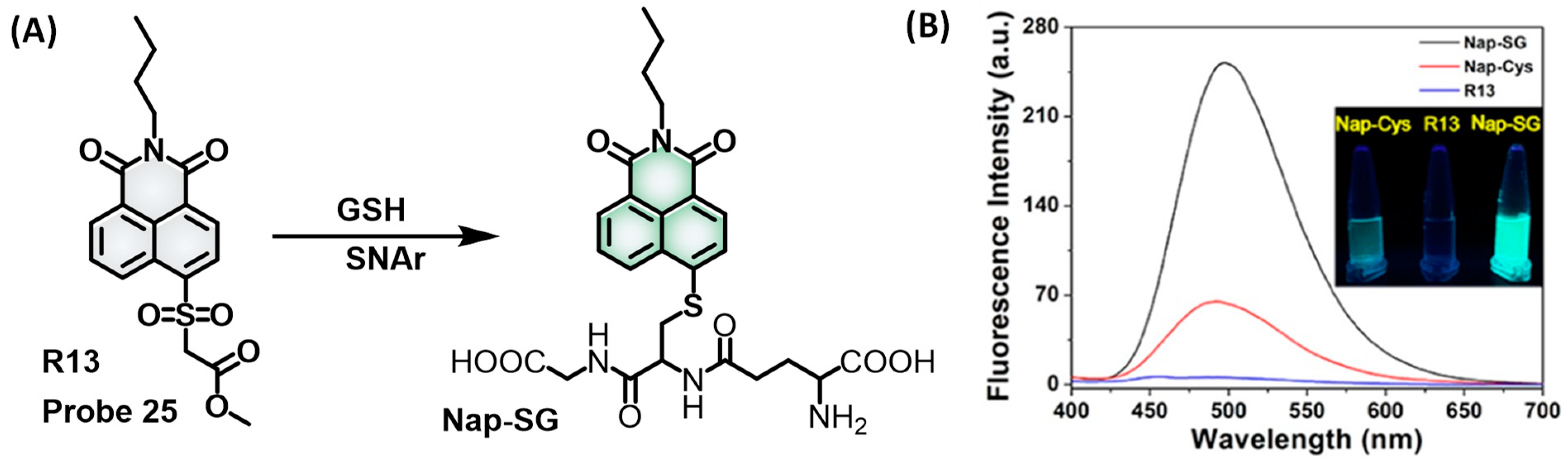 Molecules 28 04252 g004 Molecules 28 04252 g004