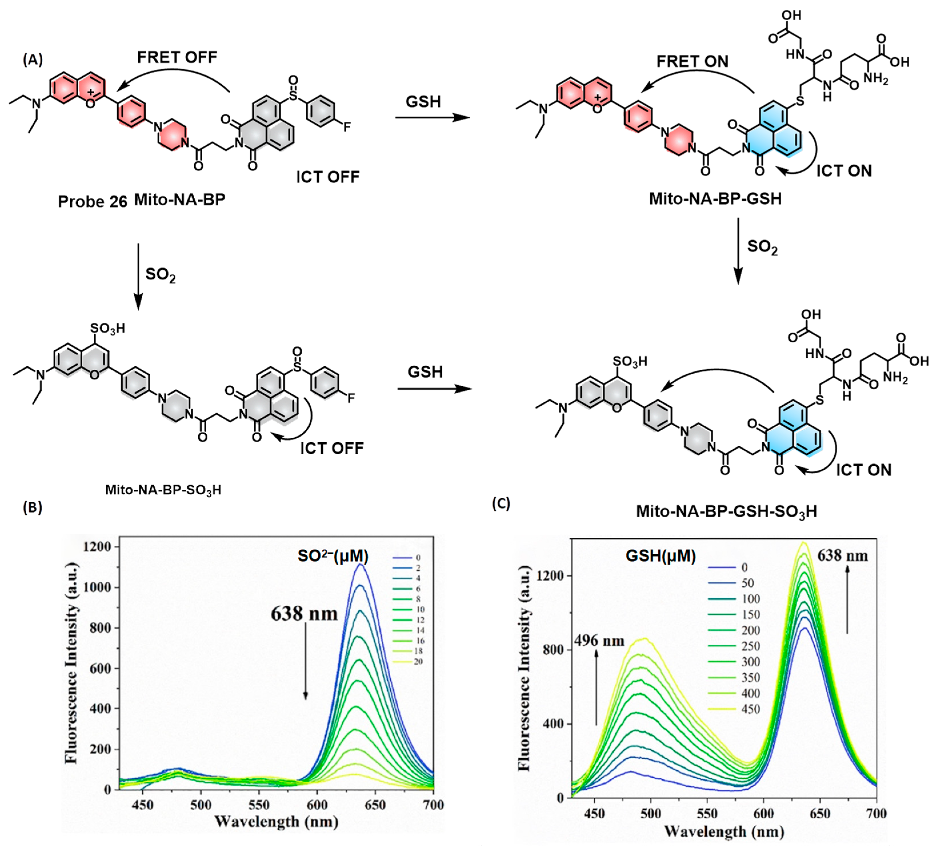 Molecules 28 04252 g005 Molecules 28 04252 g005