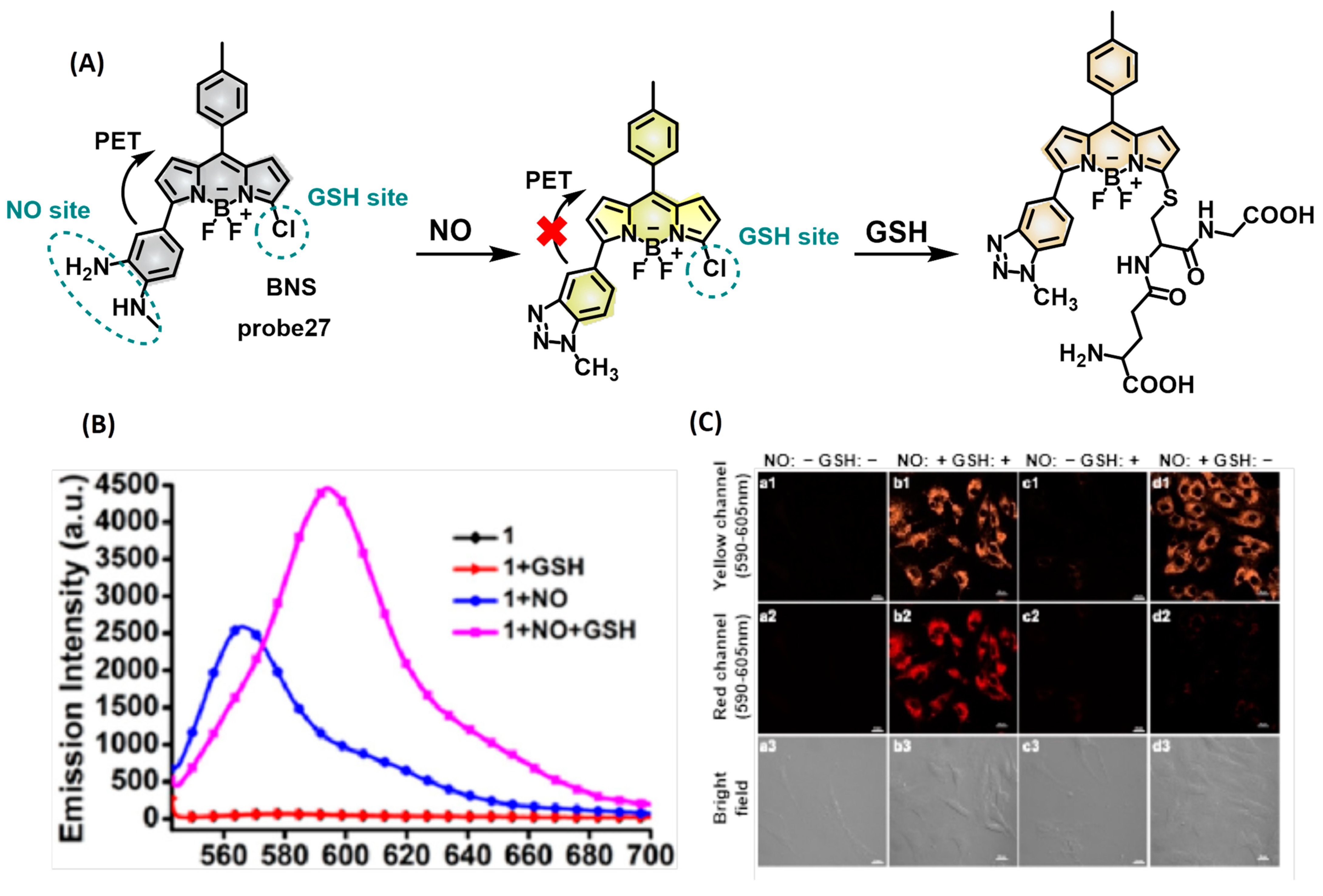 Molecules 28 04252 g006 Molecules 28 04252 g006