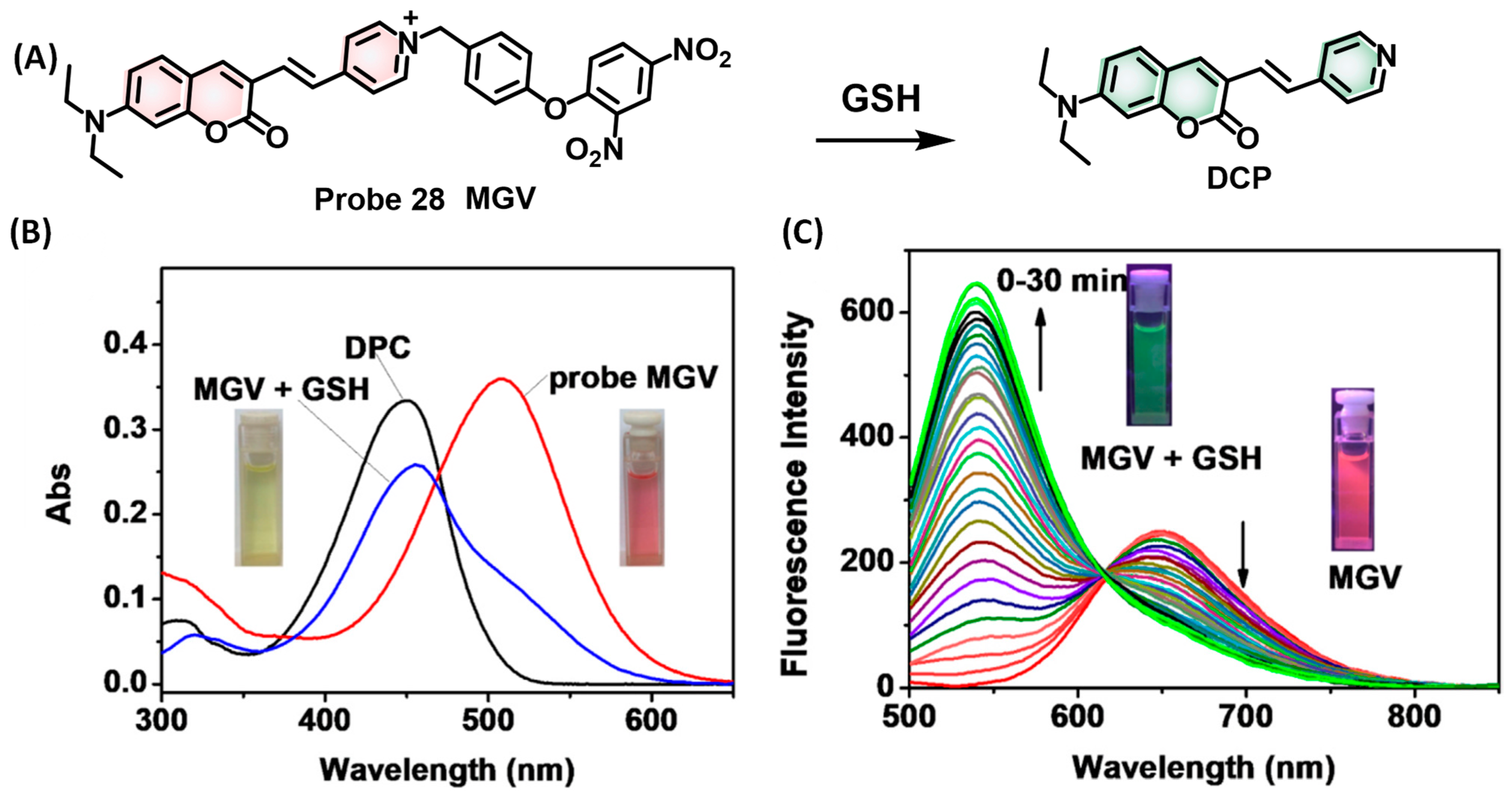 Molecules 28 04252 g007 Molecules 28 04252 g007