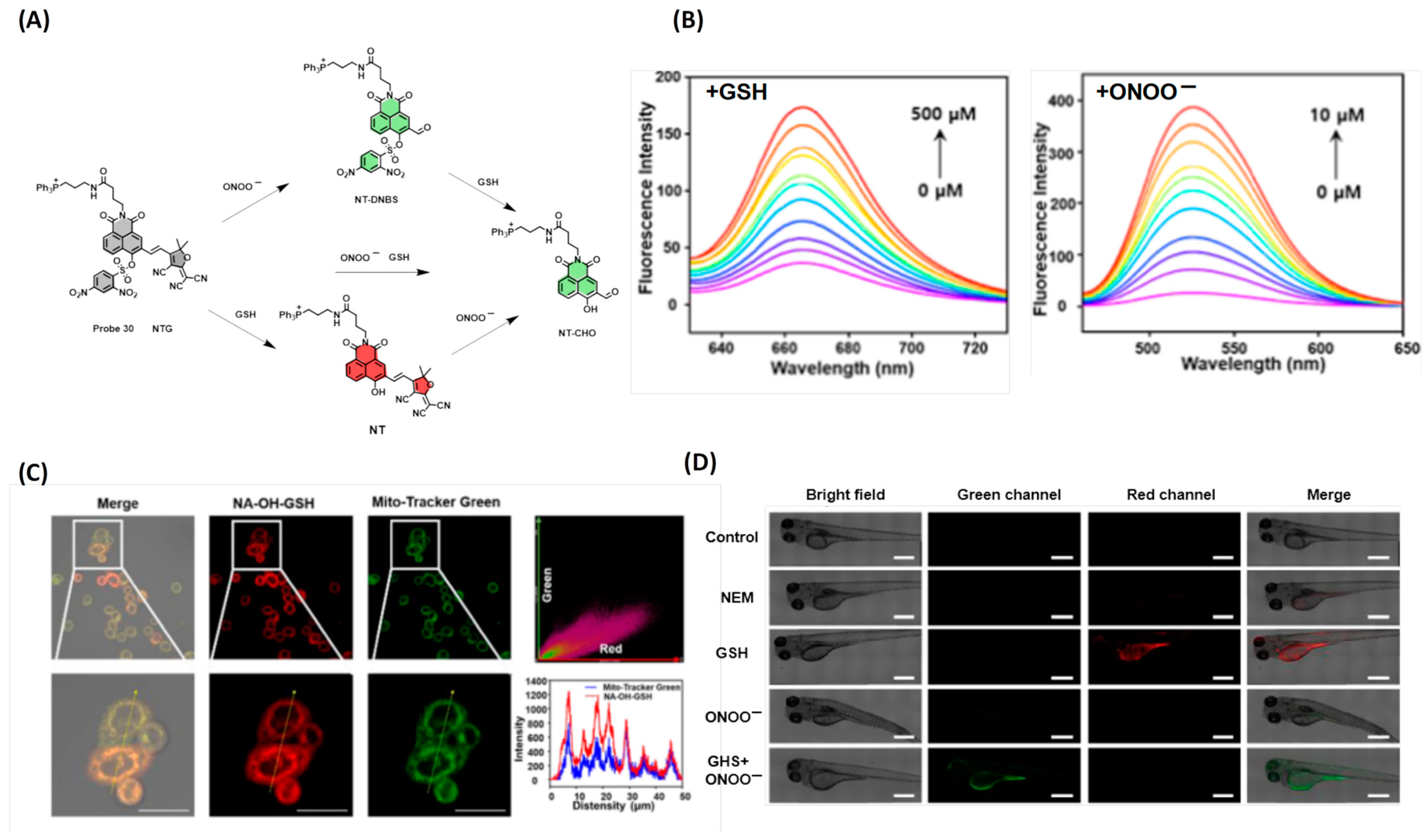 Molecules 28 04252 g008 Molecules 28 04252 g008