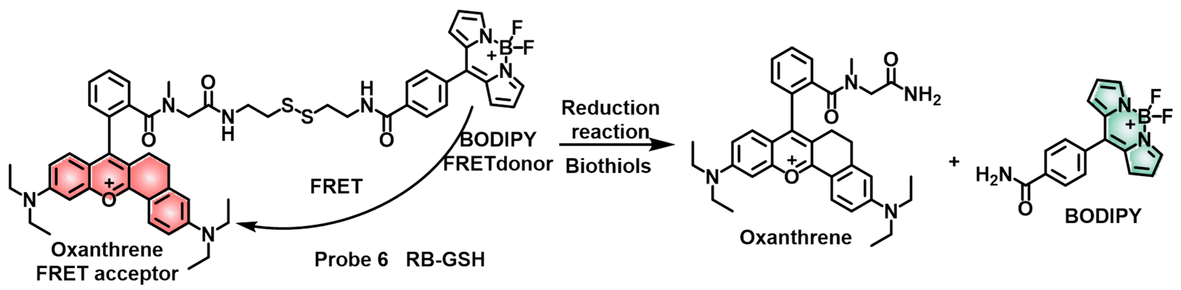 Molecules 28 04252 sch005 Molecules 28 04252 sch005