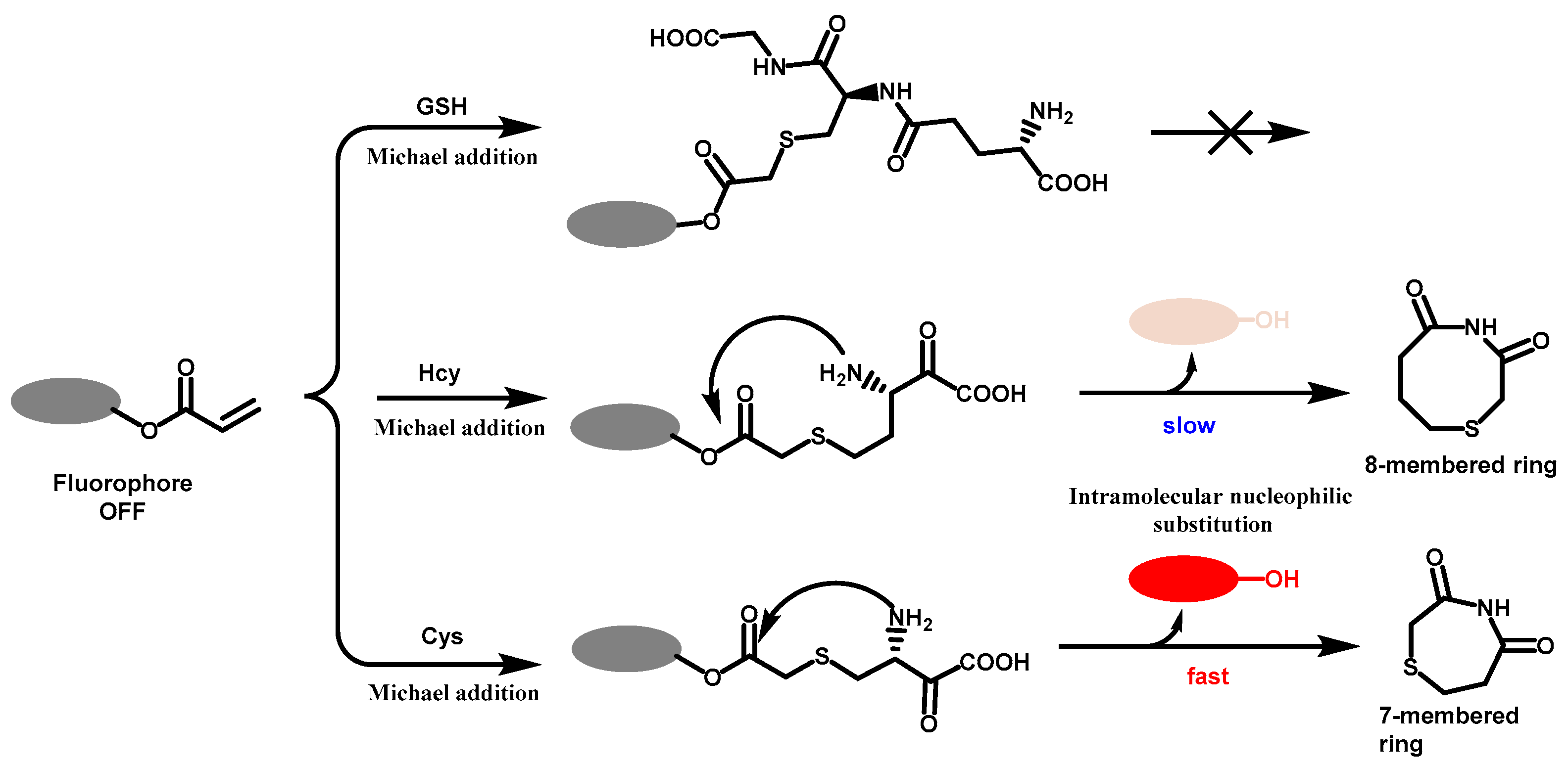 Molecules 28 04252 sch006 Molecules 28 04252 sch006
