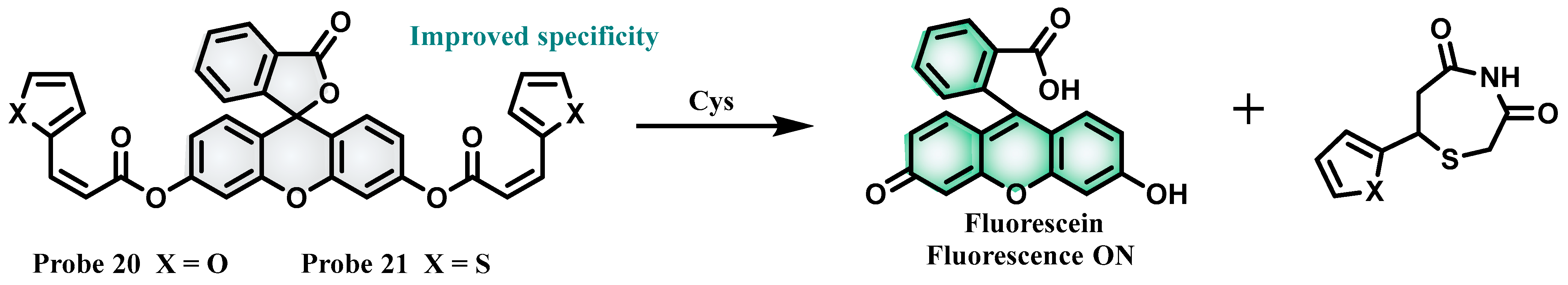 Molecules 28 04252 sch008 Molecules 28 04252 sch008