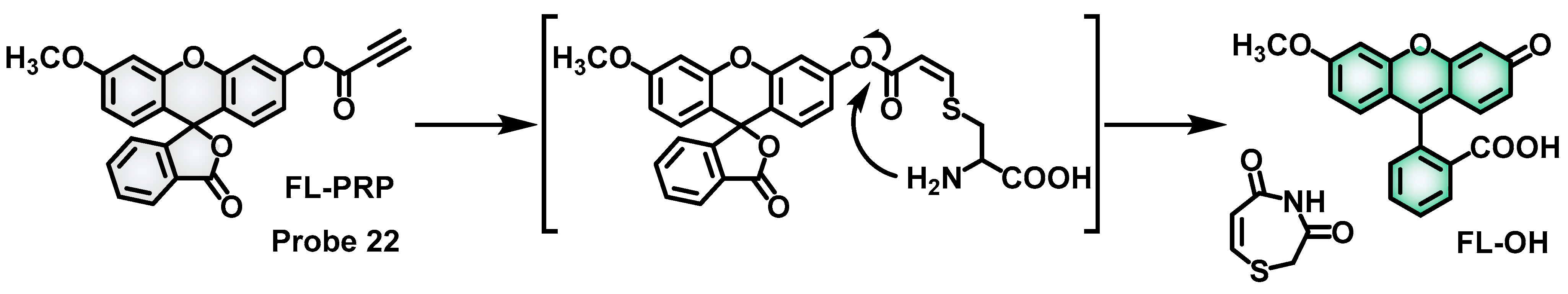 Molecules 28 04252 sch009 Molecules 28 04252 sch009