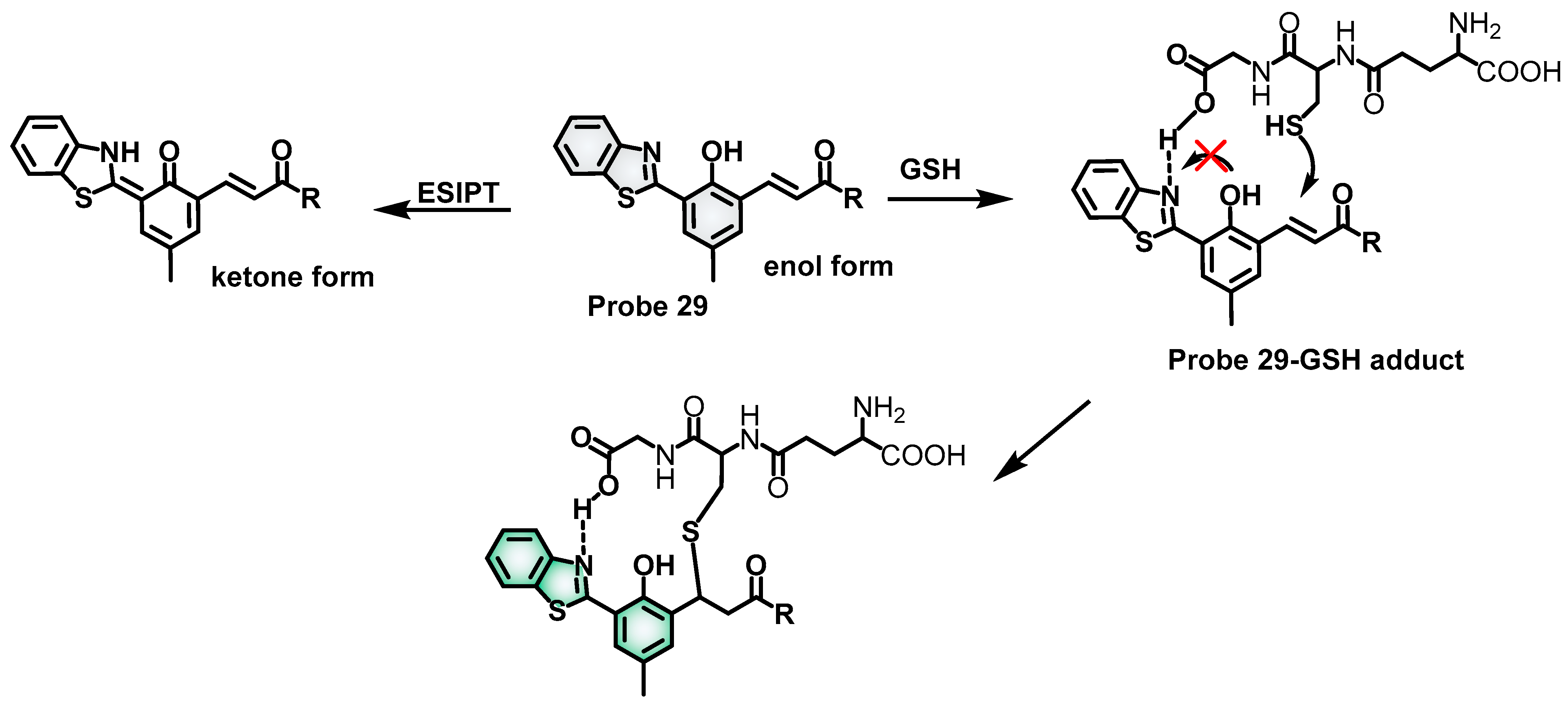 Molecules 28 04252 sch012 Molecules 28 04252 sch012