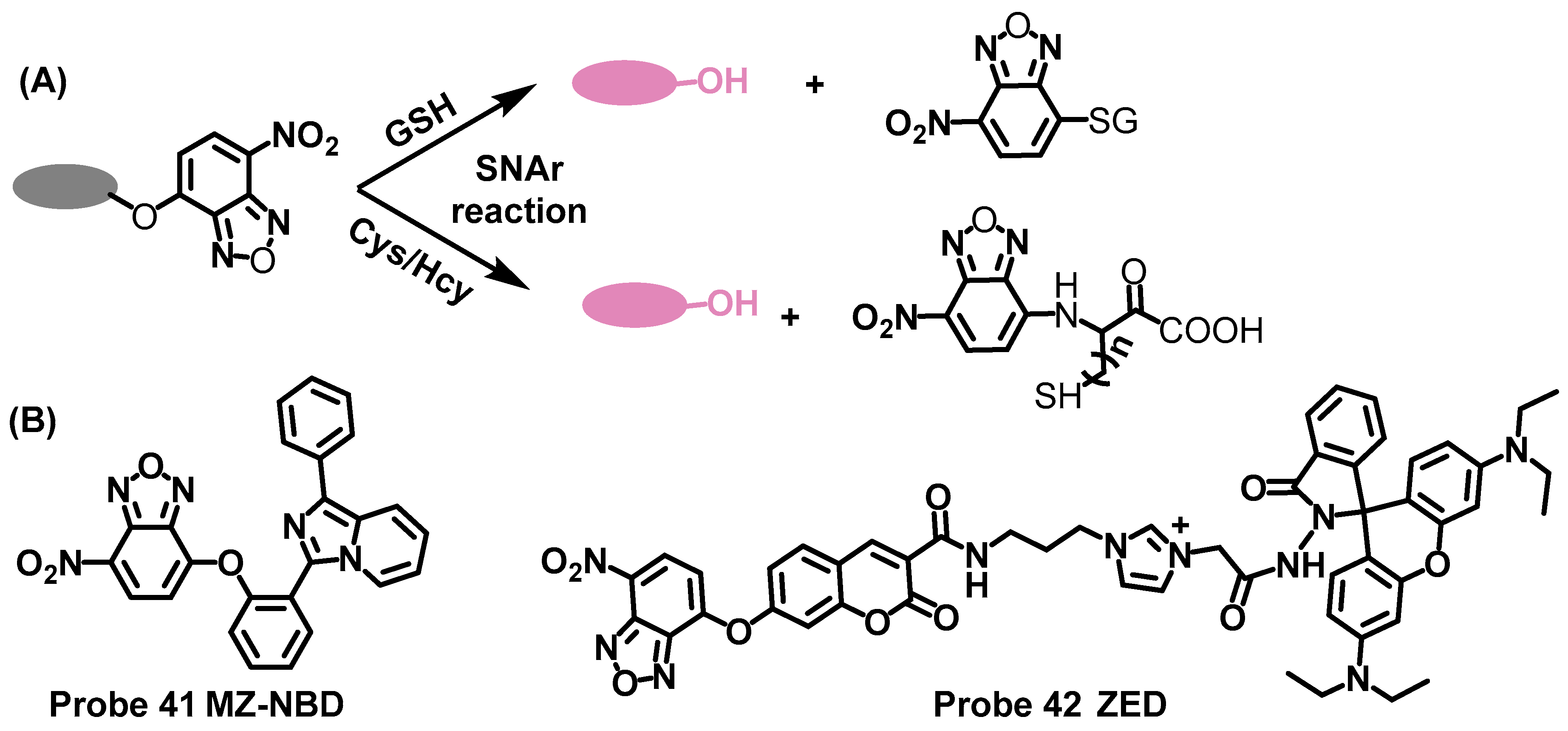 Molecules 28 04252 sch016 Molecules 28 04252 sch016