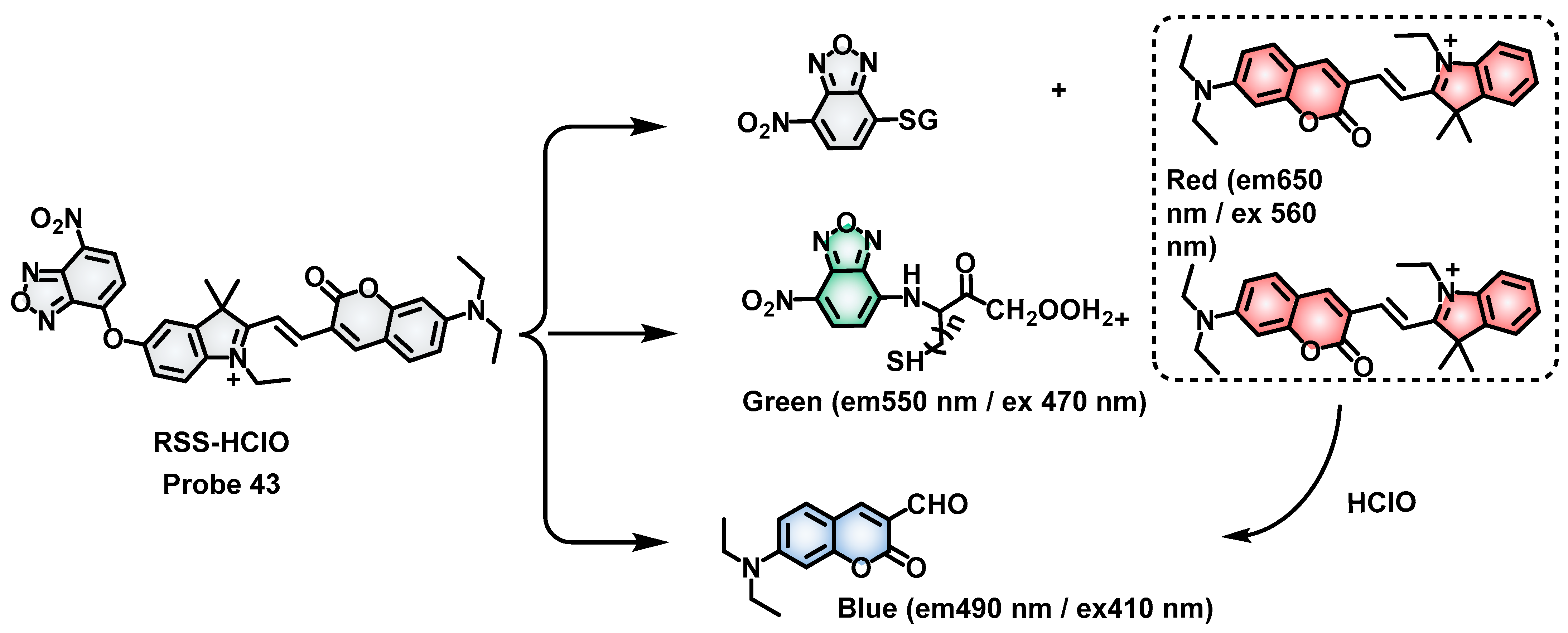 Molecules 28 04252 sch017 Molecules 28 04252 sch017