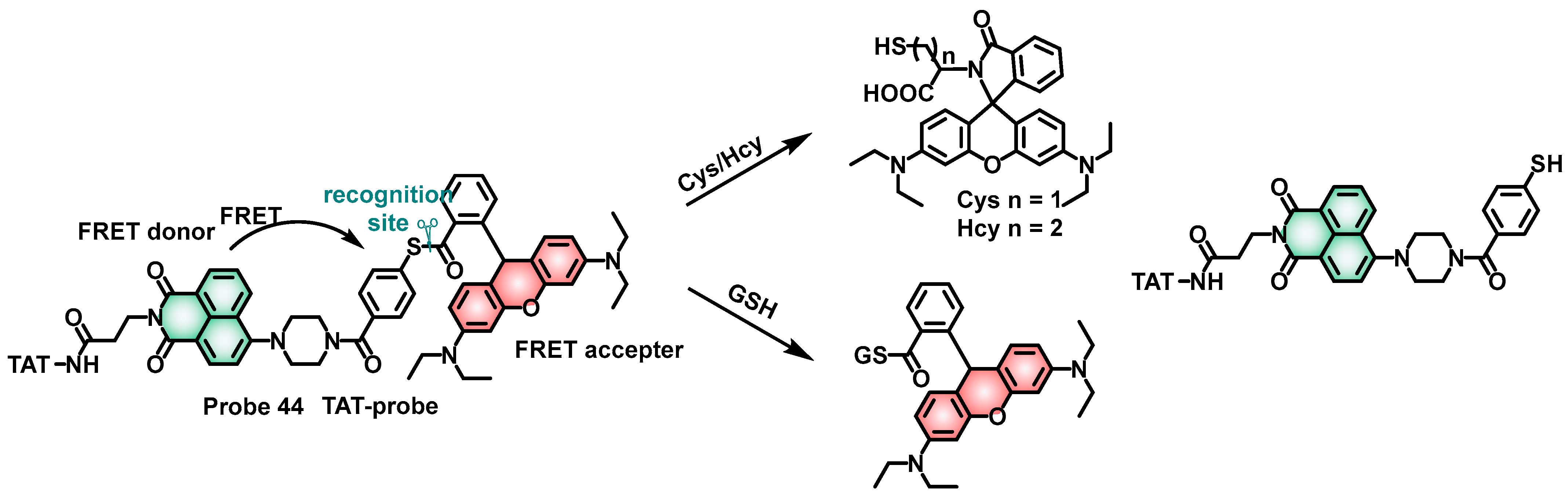 Molecules 28 04252 sch018 Molecules 28 04252 sch018