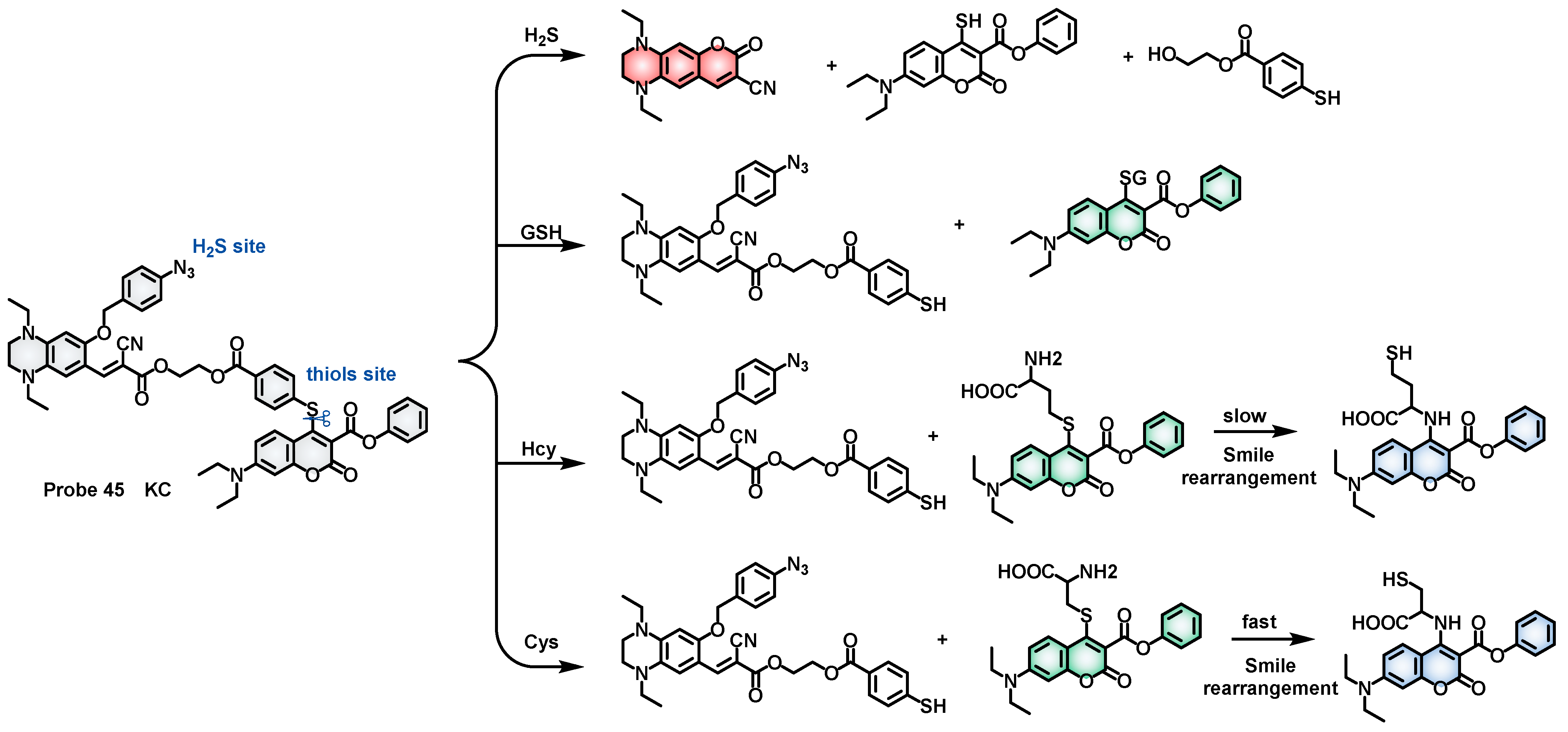 Molecules 28 04252 sch019 Molecules 28 04252 sch019