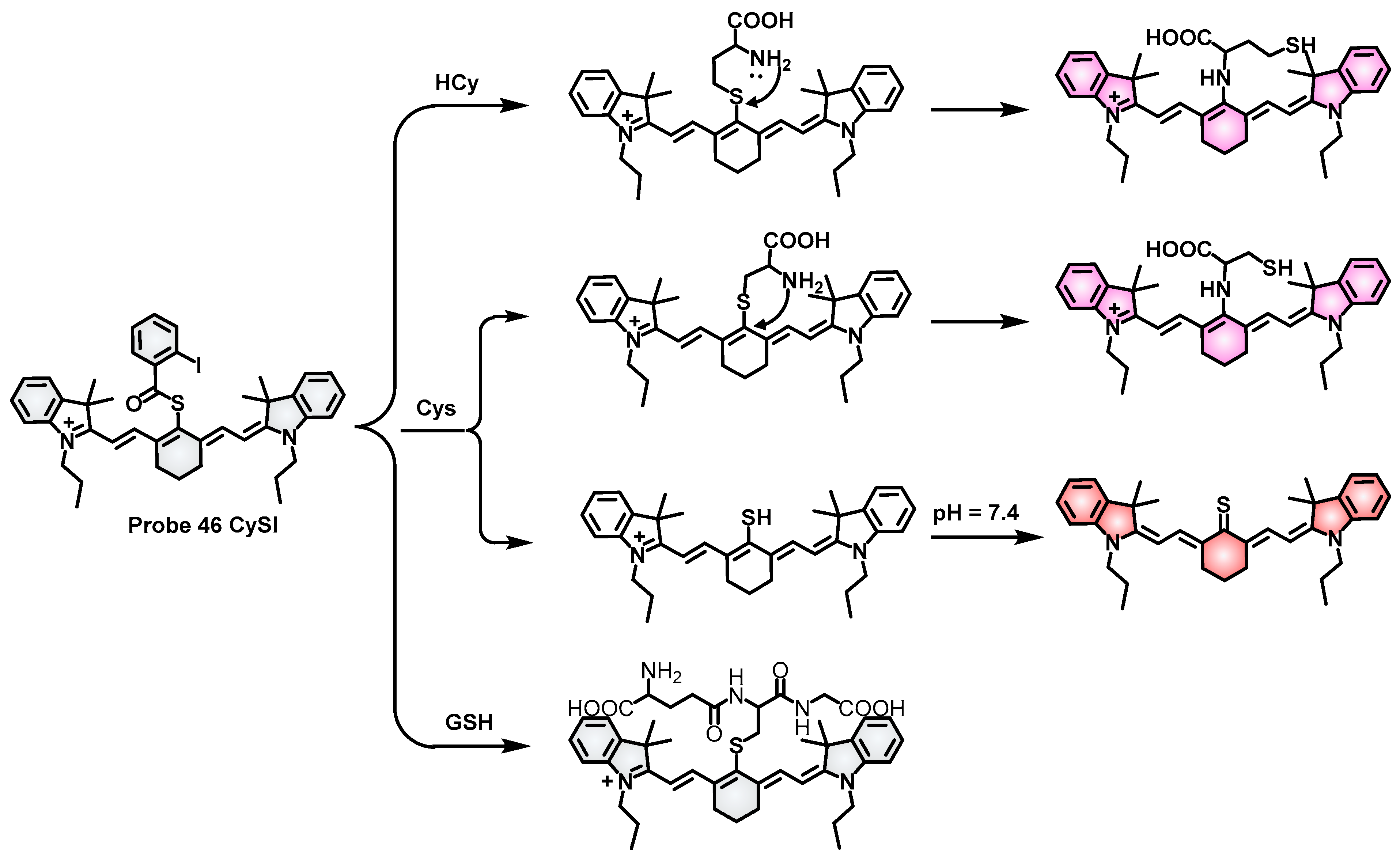 Molecules 28 04252 sch020 Molecules 28 04252 sch020