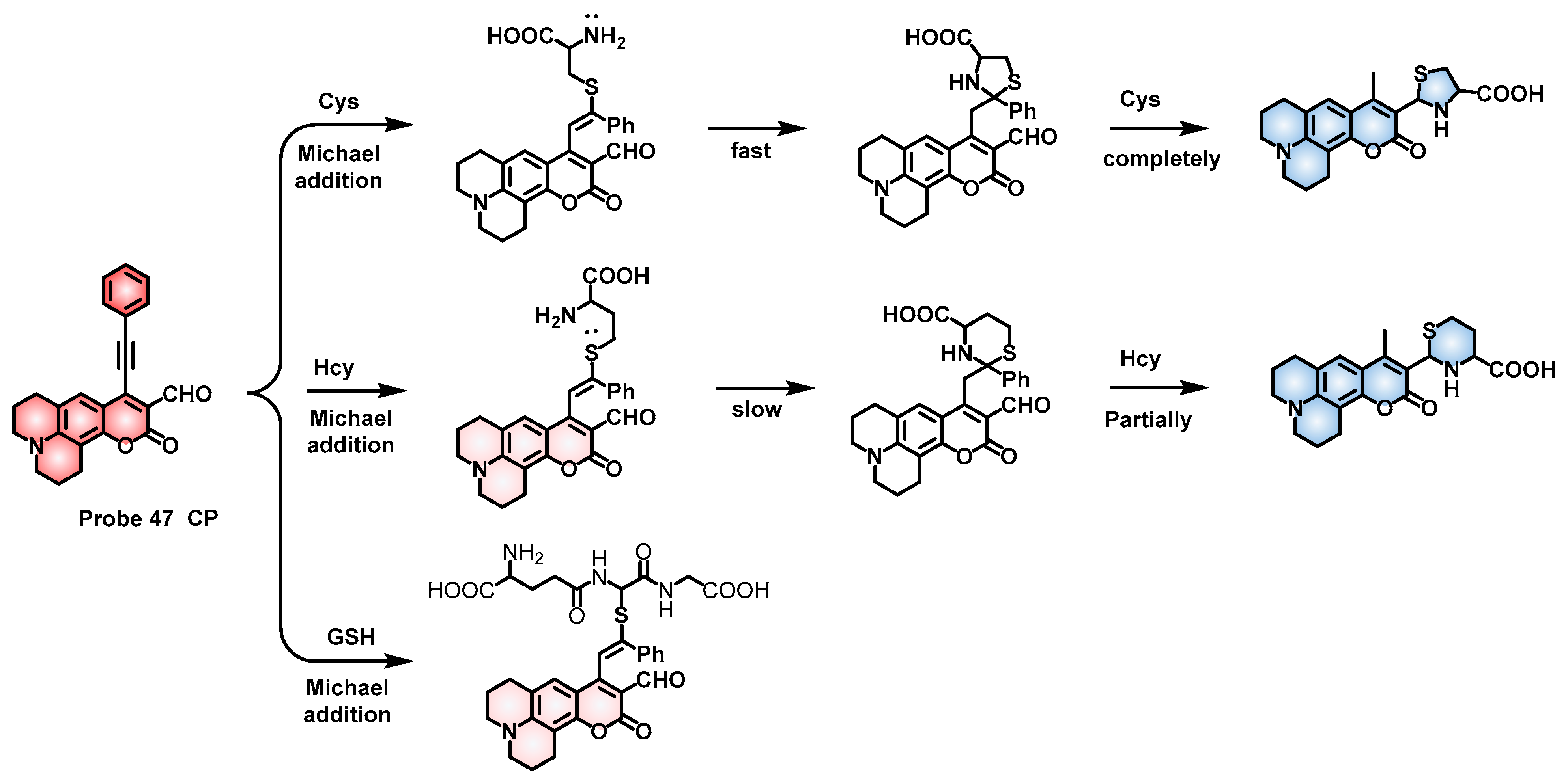 Molecules 28 04252 sch021 Molecules 28 04252 sch021