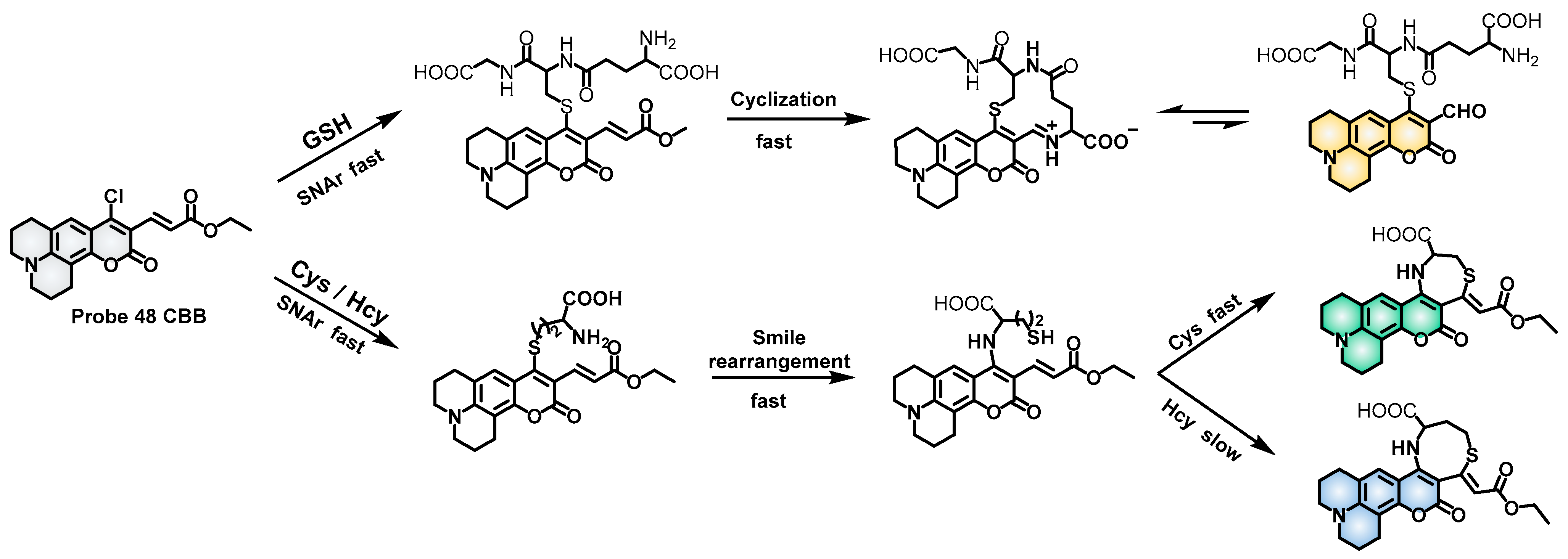 Molecules 28 04252 sch022 Molecules 28 04252 sch022