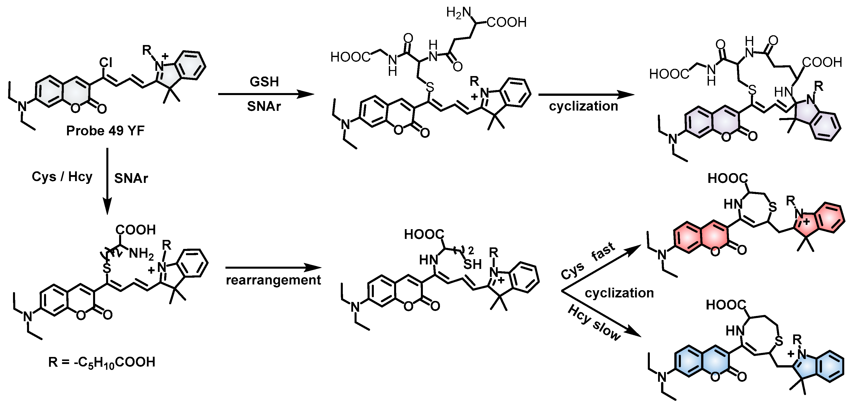 Molecules 28 04252 sch023 Molecules 28 04252 sch023