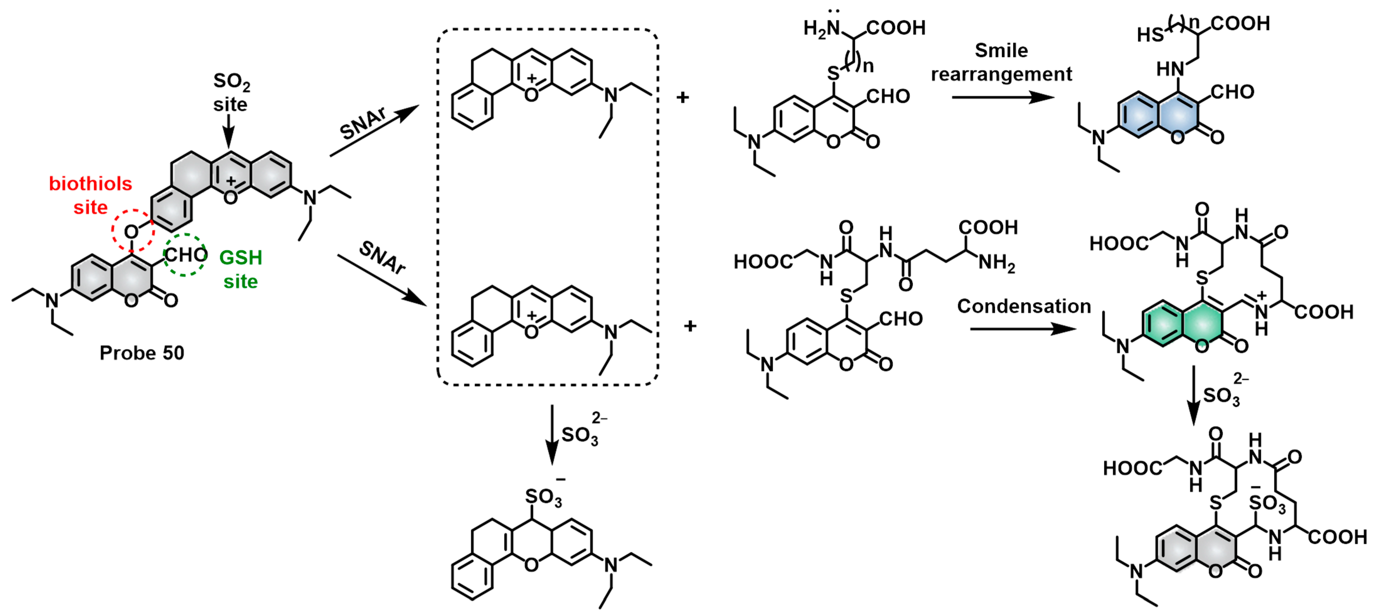 Molecules 28 04252 sch024 Molecules 28 04252 sch024