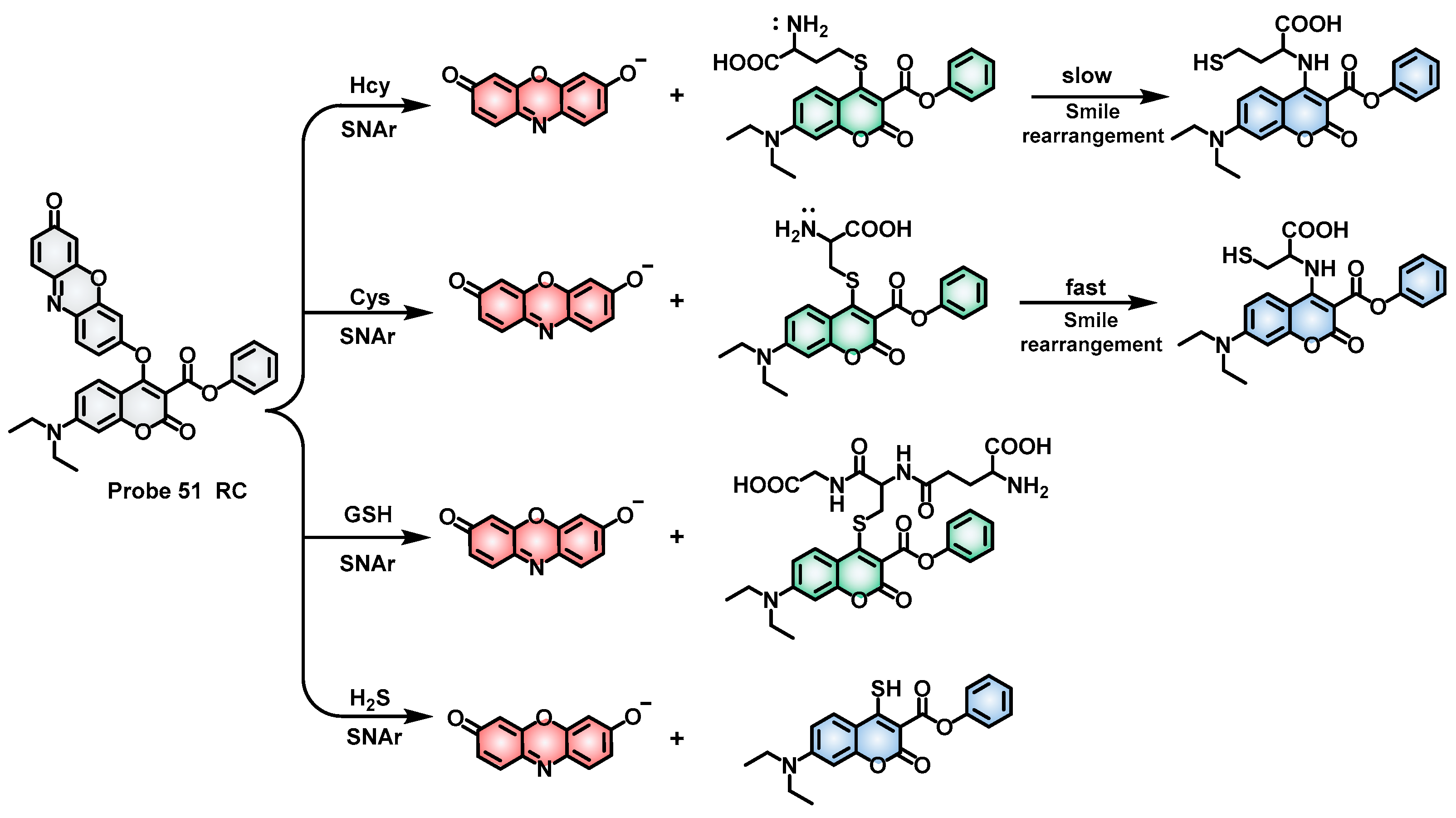Molecules 28 04252 sch025 Molecules 28 04252 sch025
