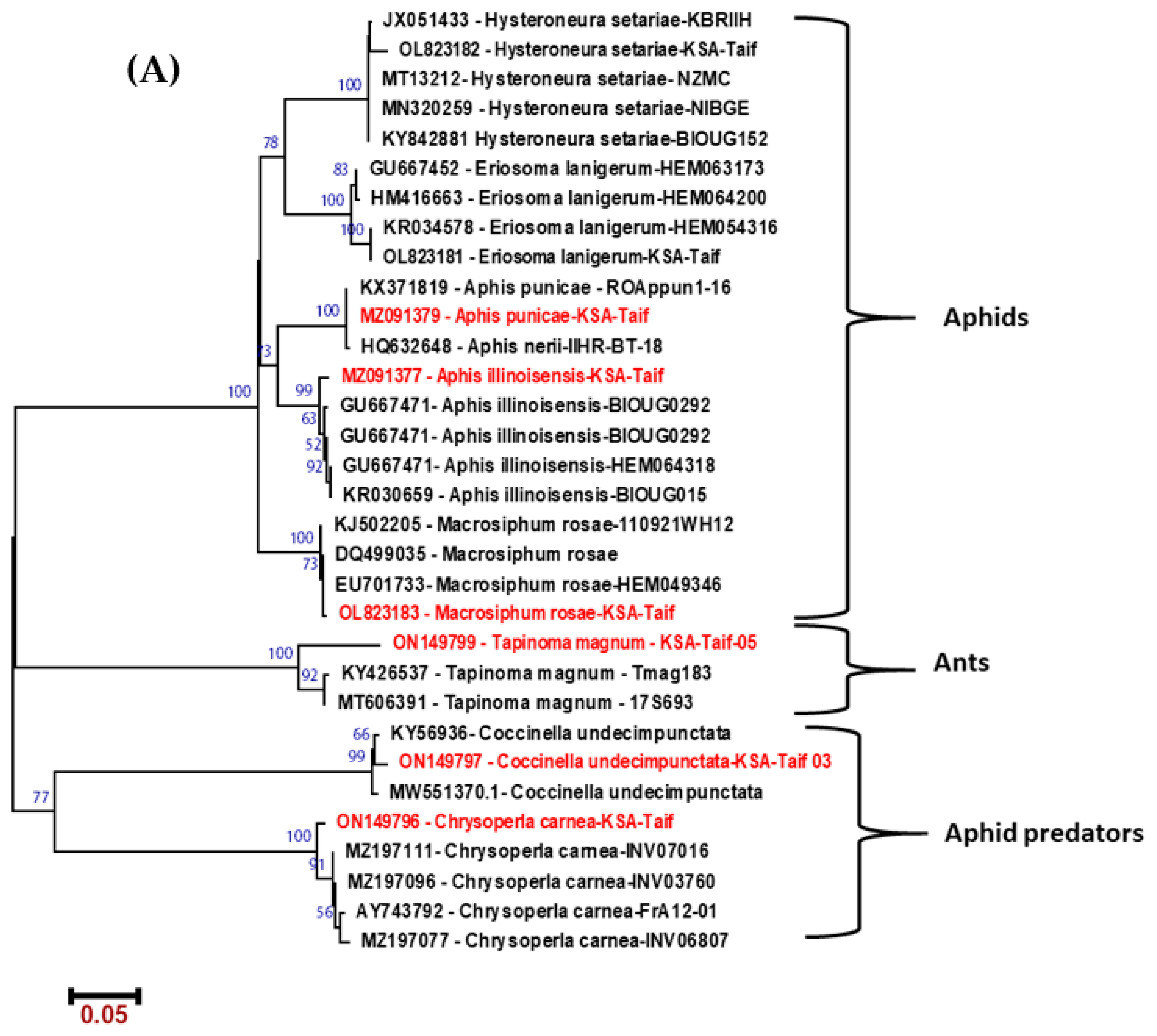 Molecules 28 04255 g001a Molecules 28 04255 g001a