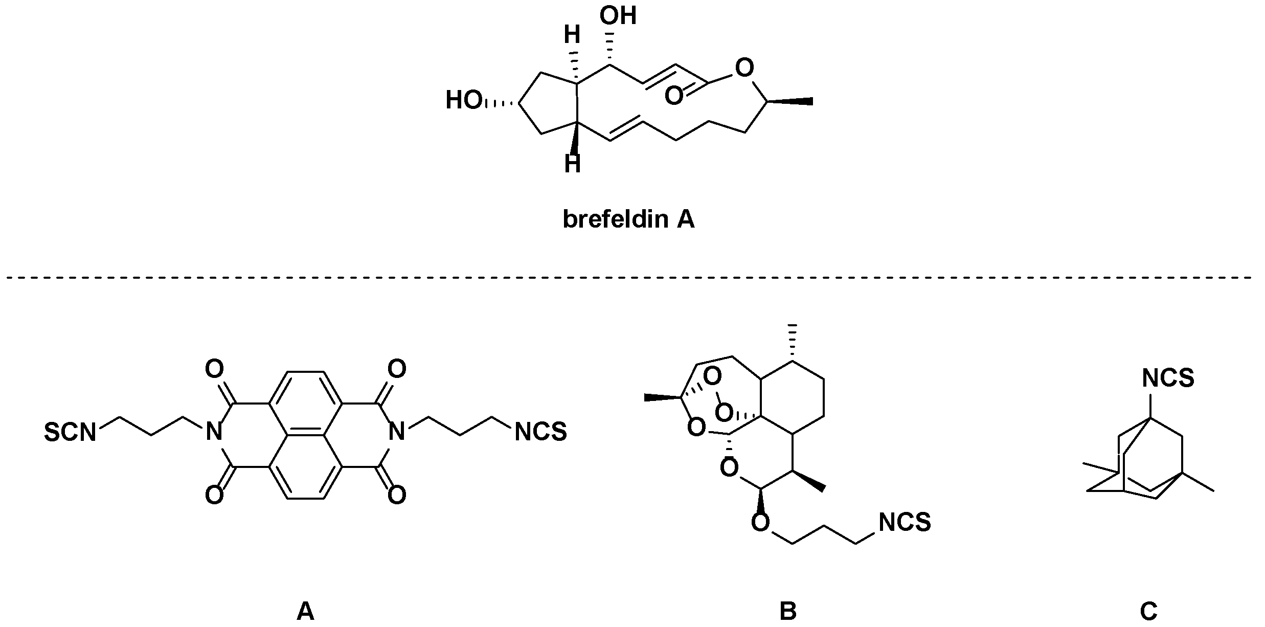 Molecules 28 04284 g001 Molecules 28 04284 g001