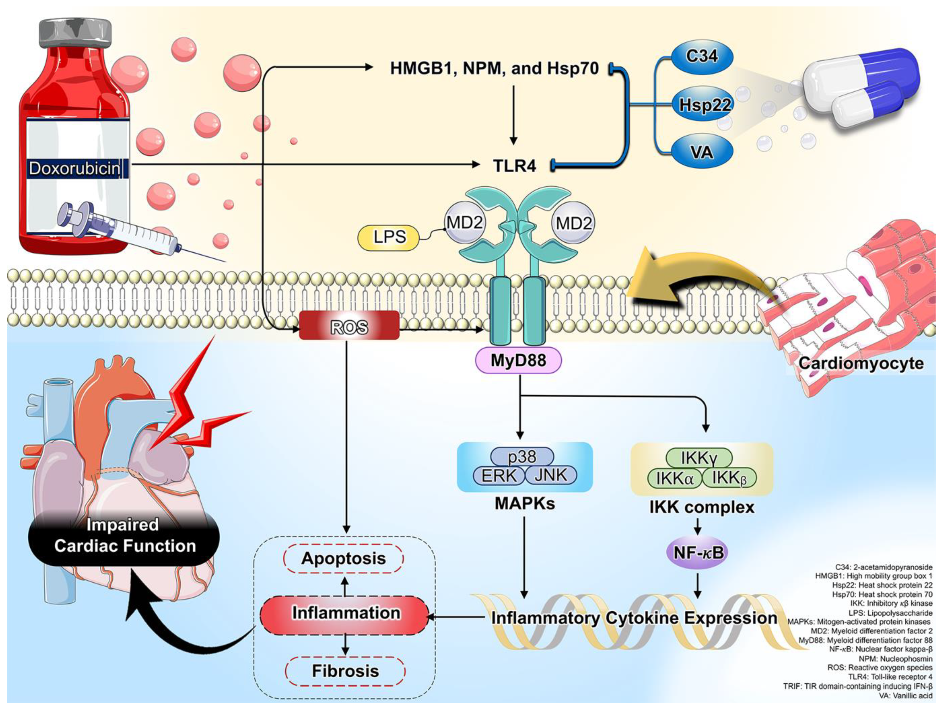 Molecules 28 04294 g001 Molecules 28 04294 g001