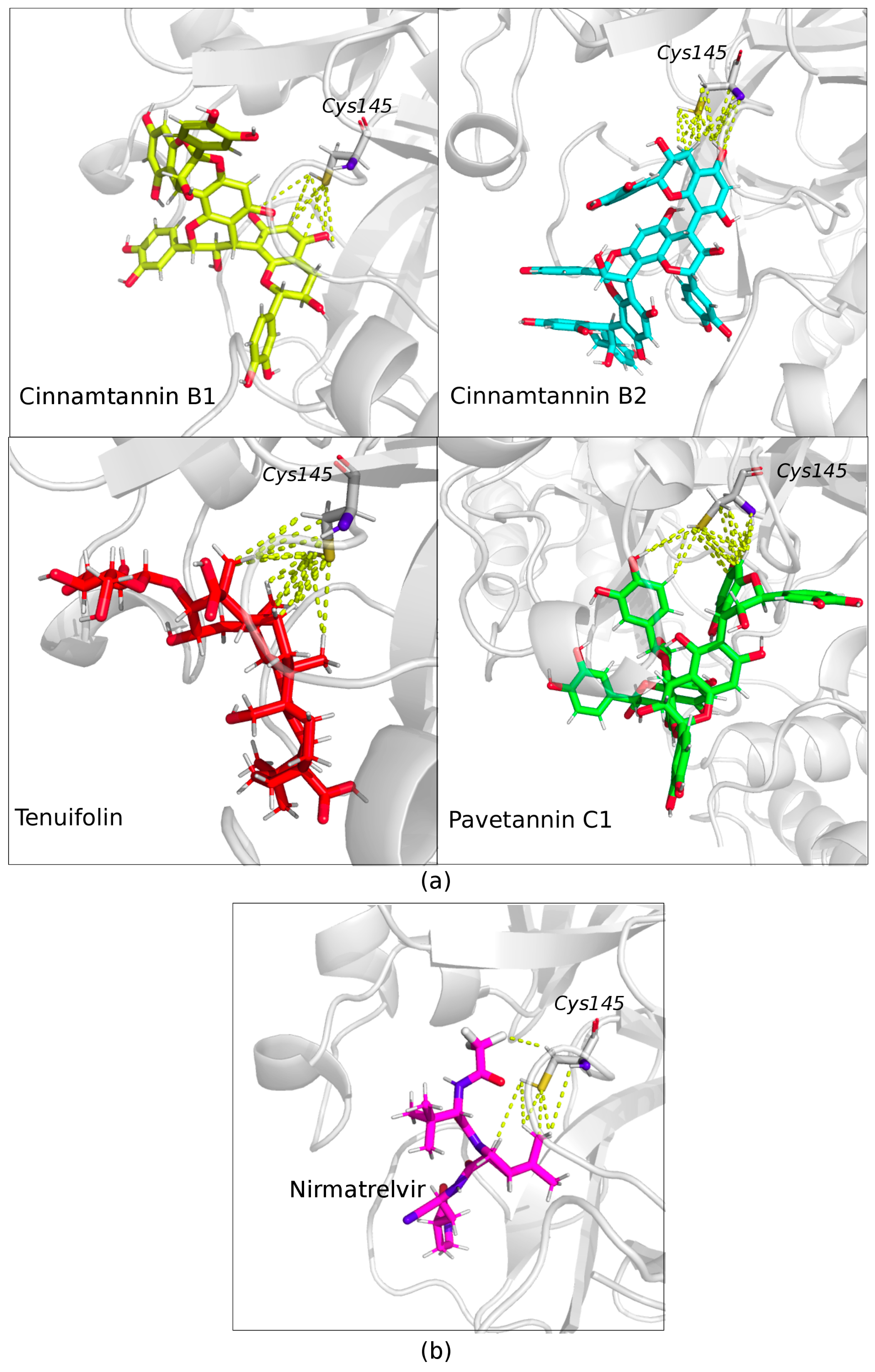 Molecules 28 04296 g004
