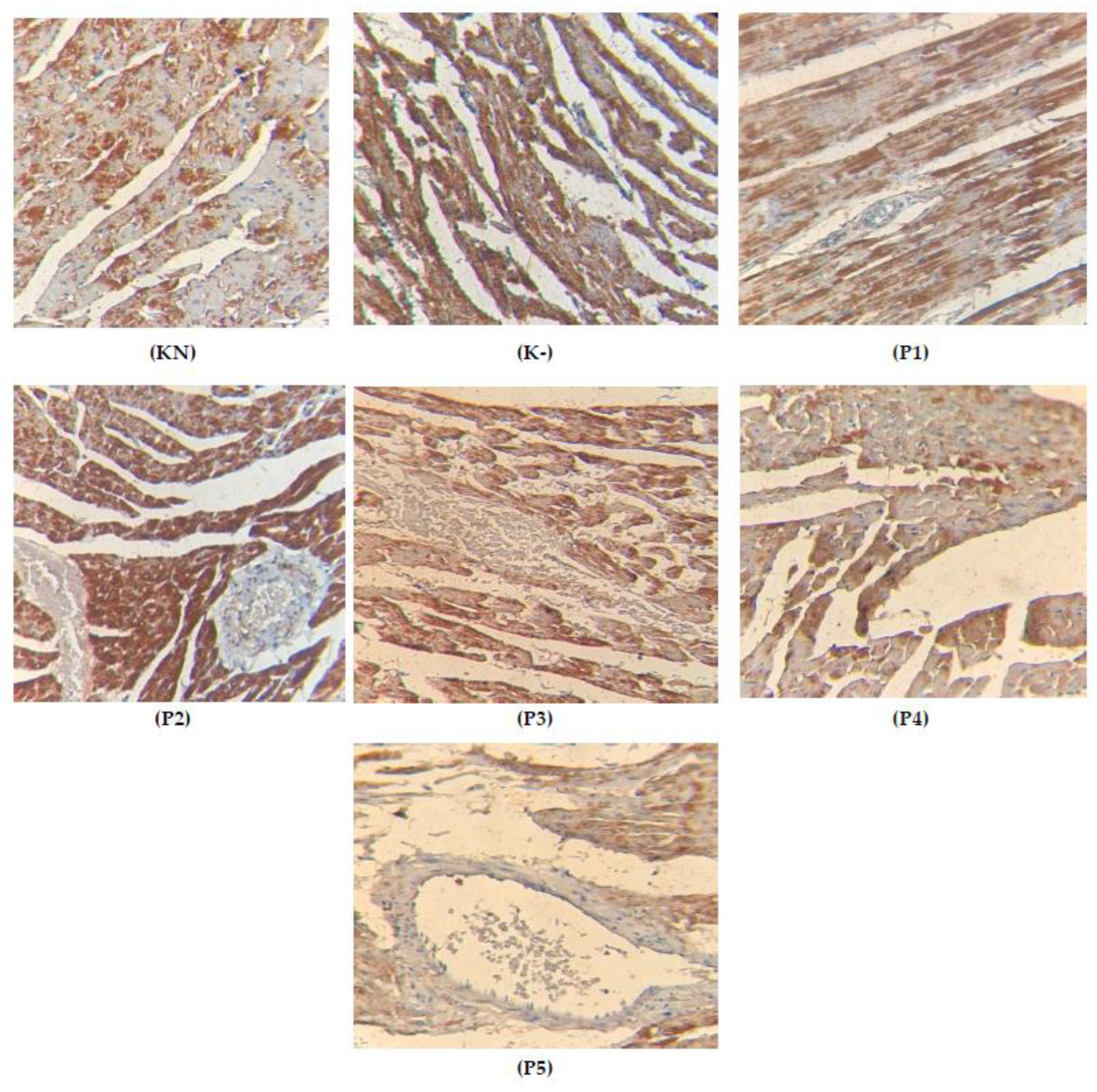 Molecules 28 04305 g007