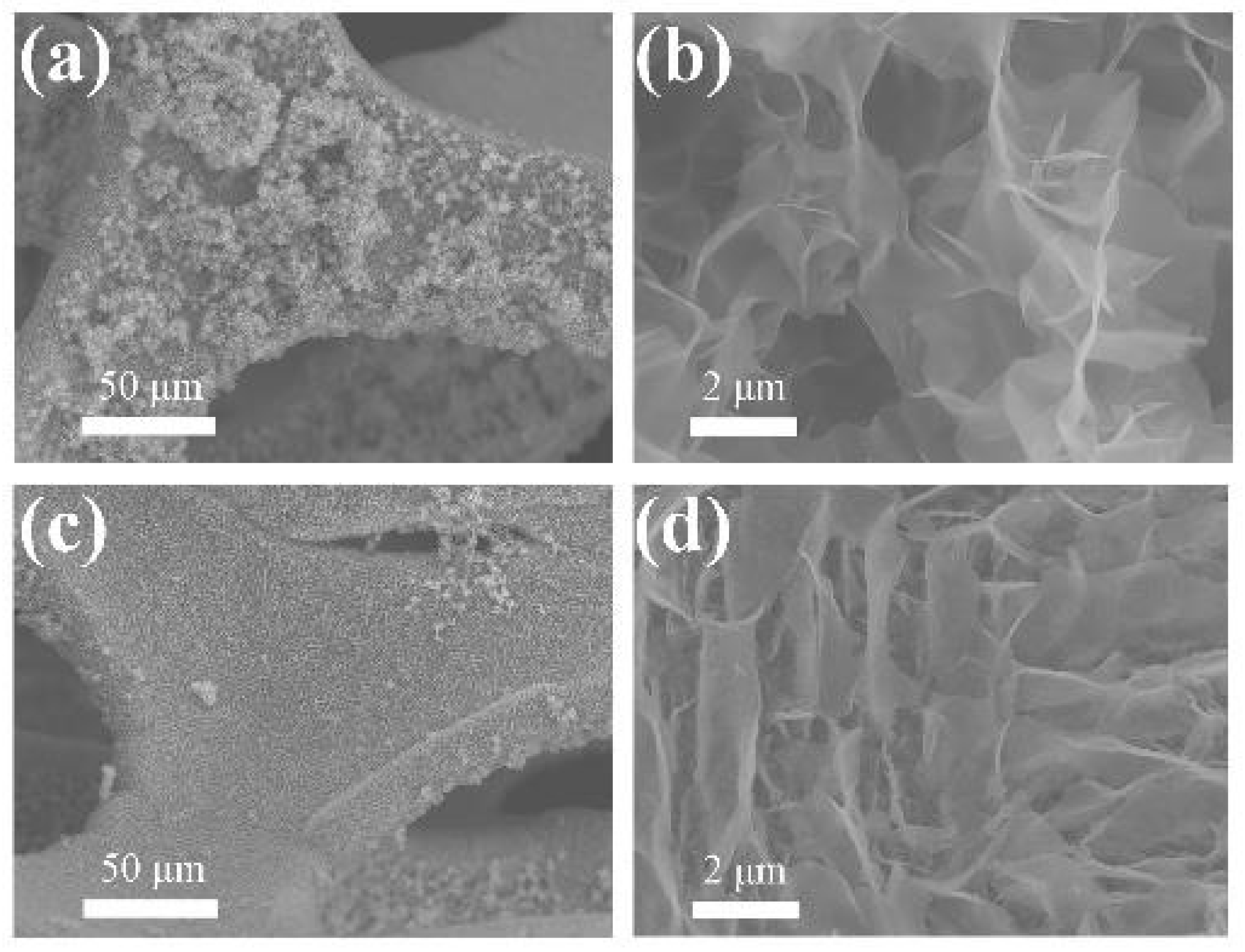 Molecules 28 04307 g003 Molecules 28 04307 g003