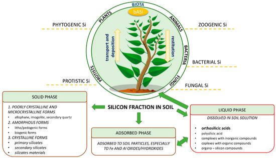 Molecules 28 04311 g001