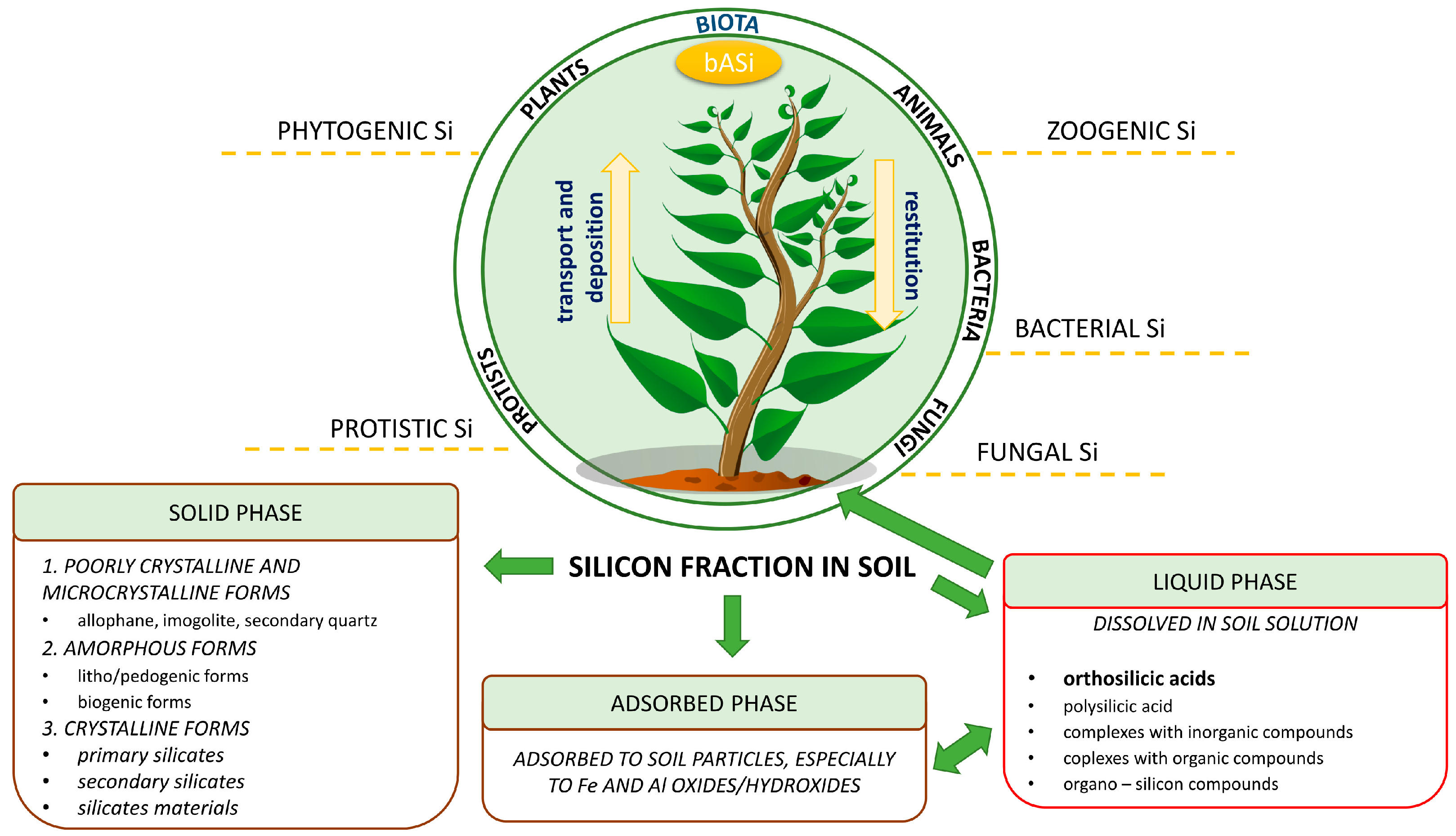 Molecules 28 04311 g001