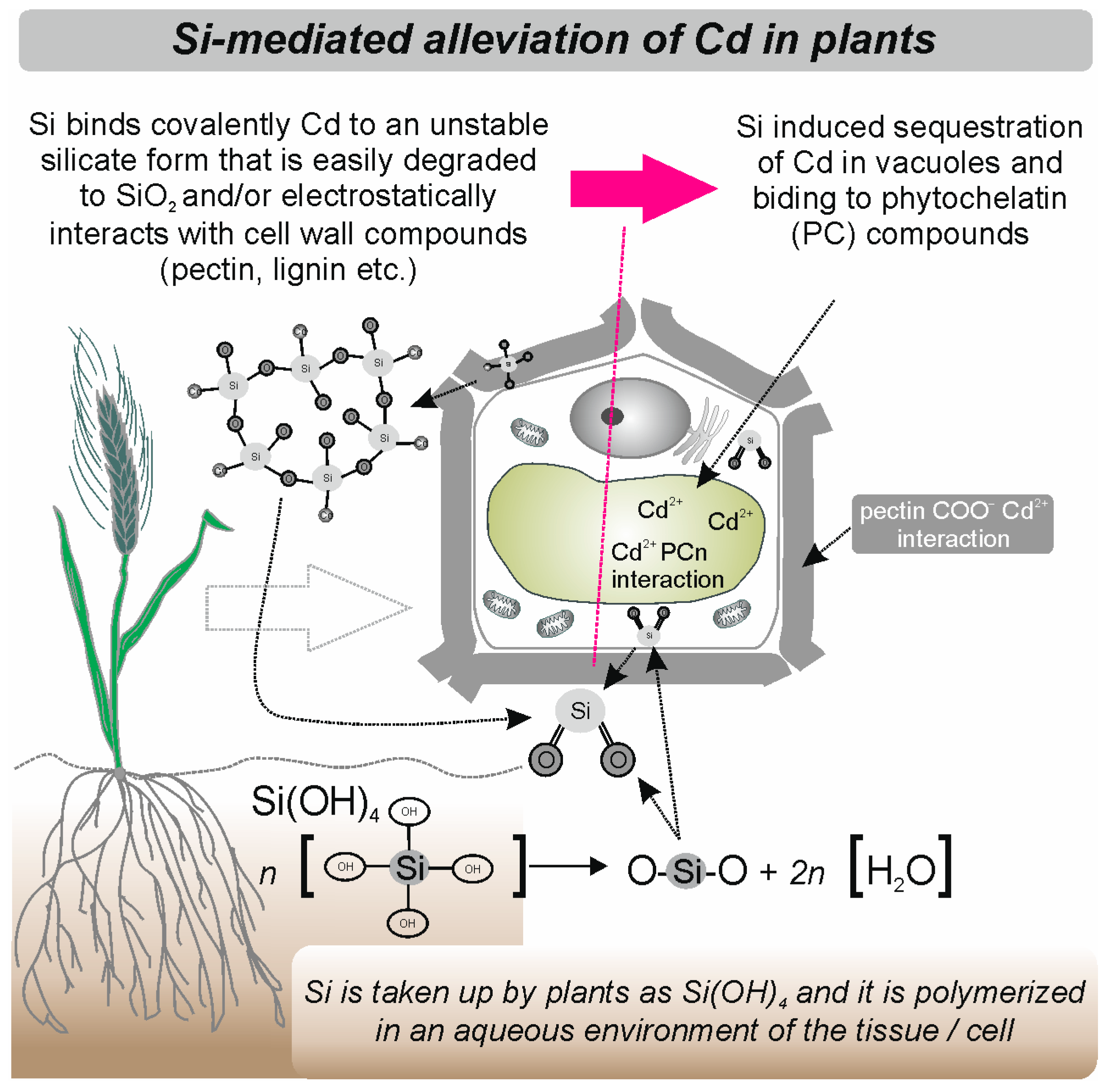 Molecules 28 04311 g002