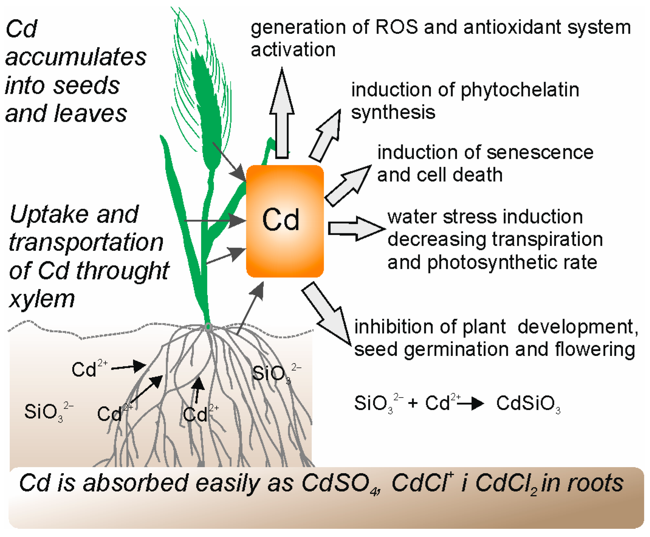 Molecules 28 04311 g003