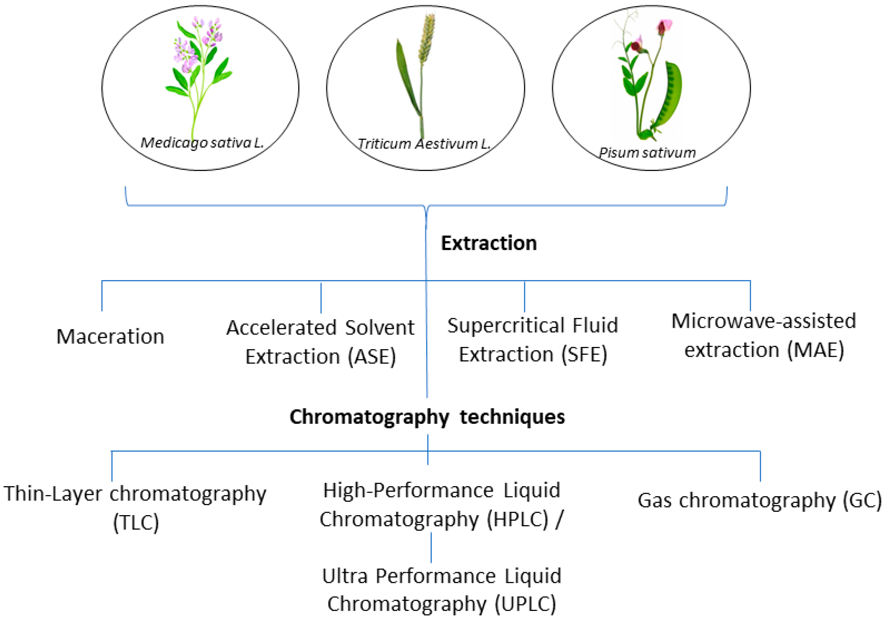 Molecules 28 04311 g004