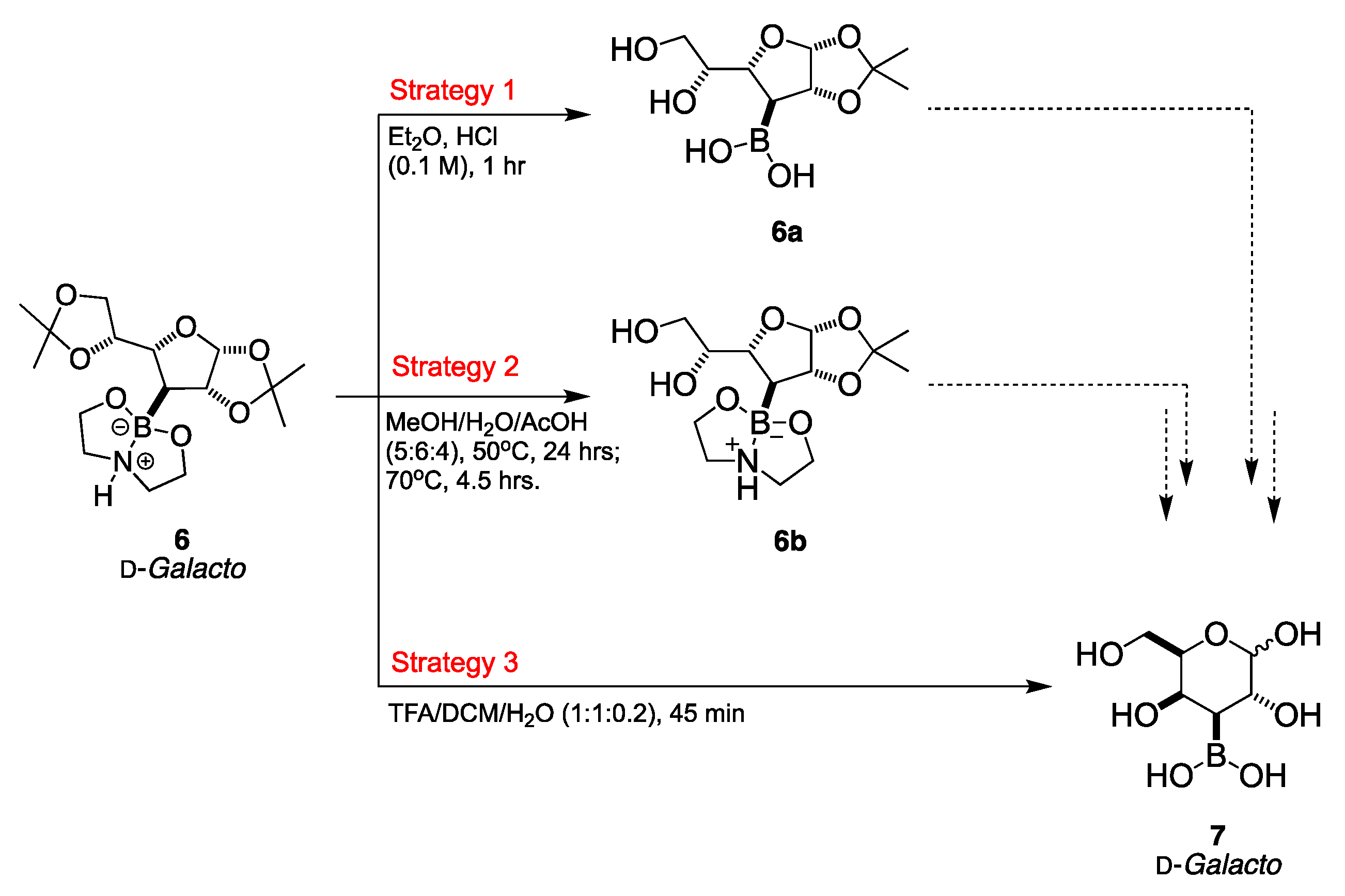 Molecules 28 04321 sch002 Molecules 28 04321 sch002