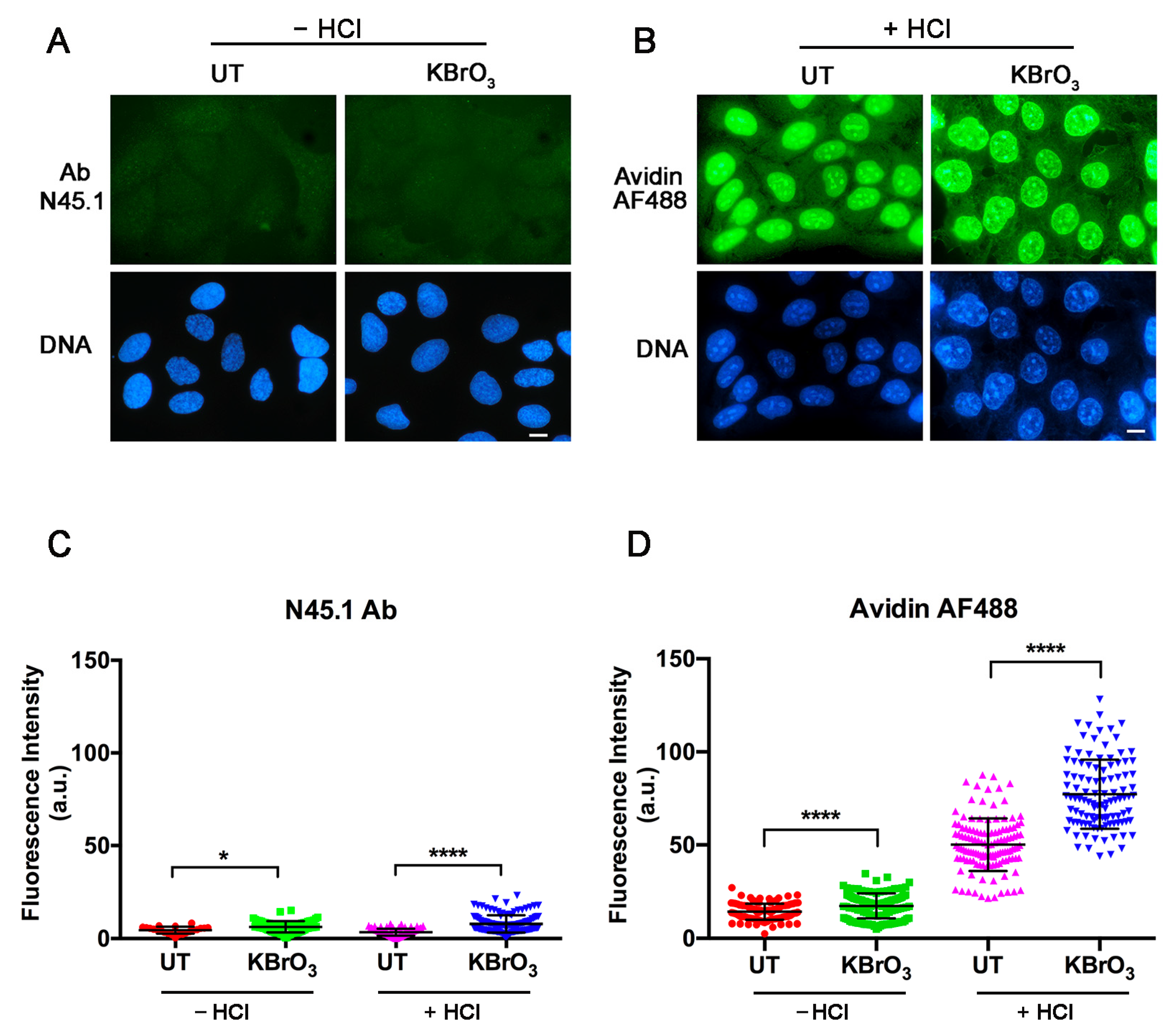 Molecules 28 04326 g003 Molecules 28 04326 g003