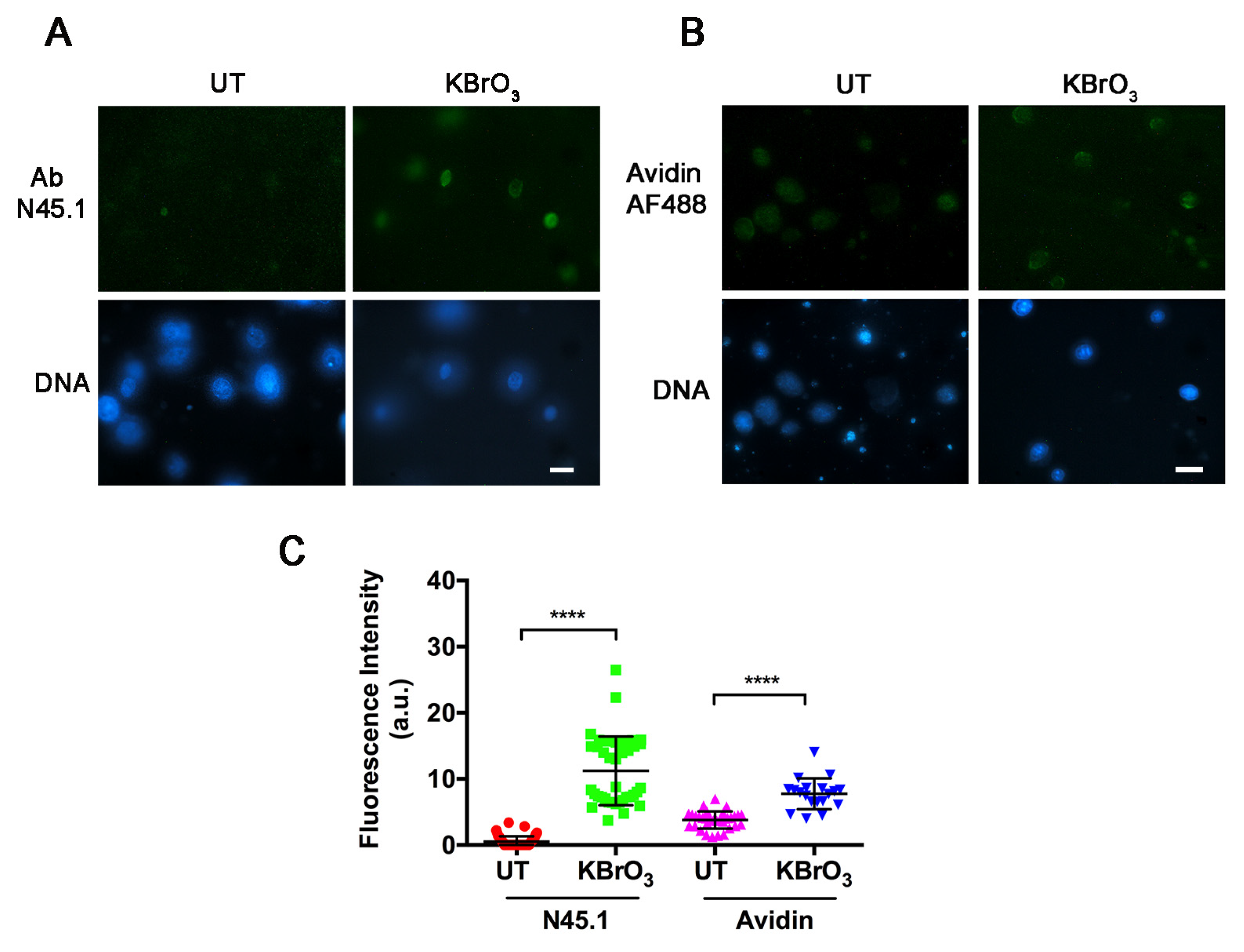 Molecules 28 04326 g005 Molecules 28 04326 g005