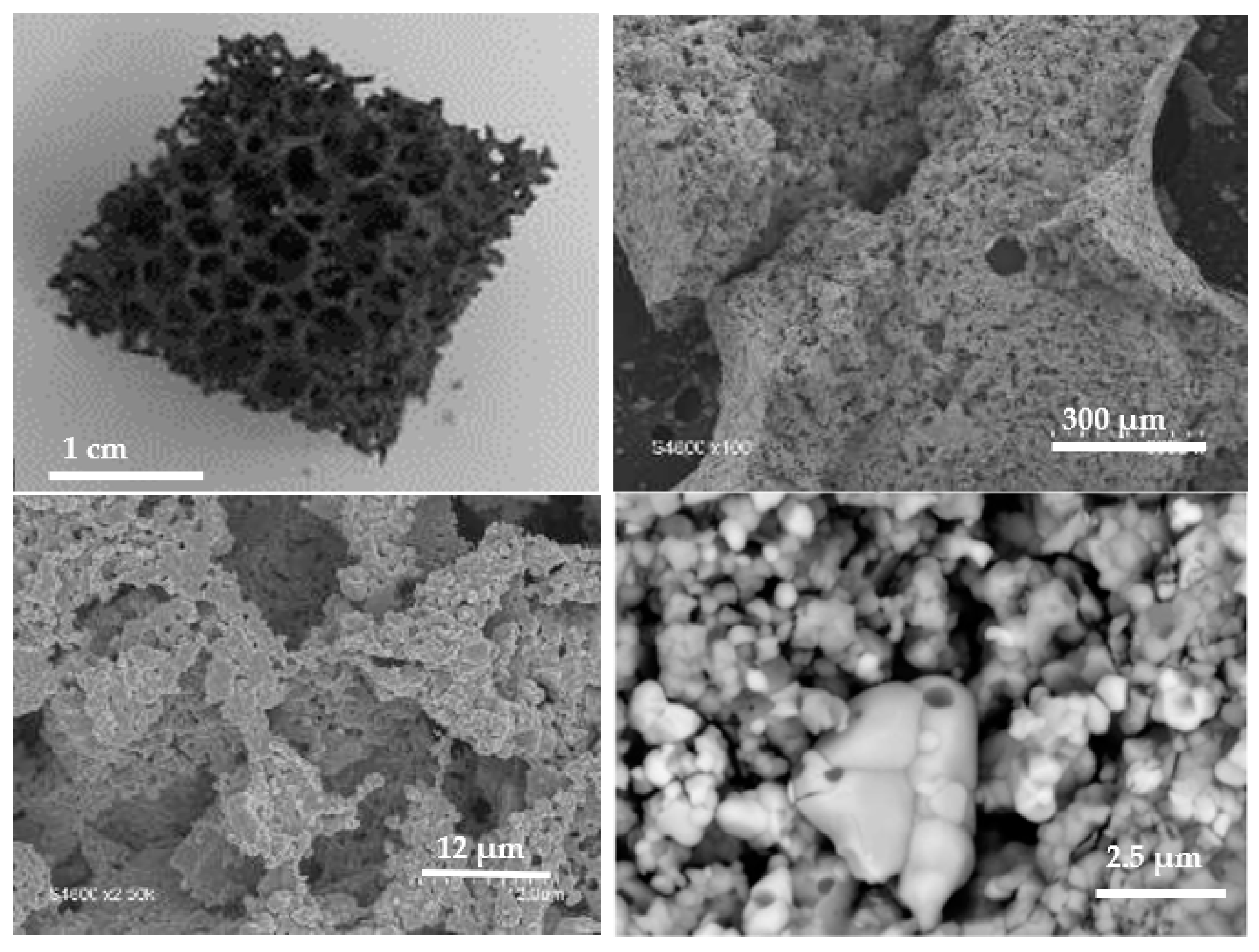 Molecules 28 04327 g015 Molecules 28 04327 g015