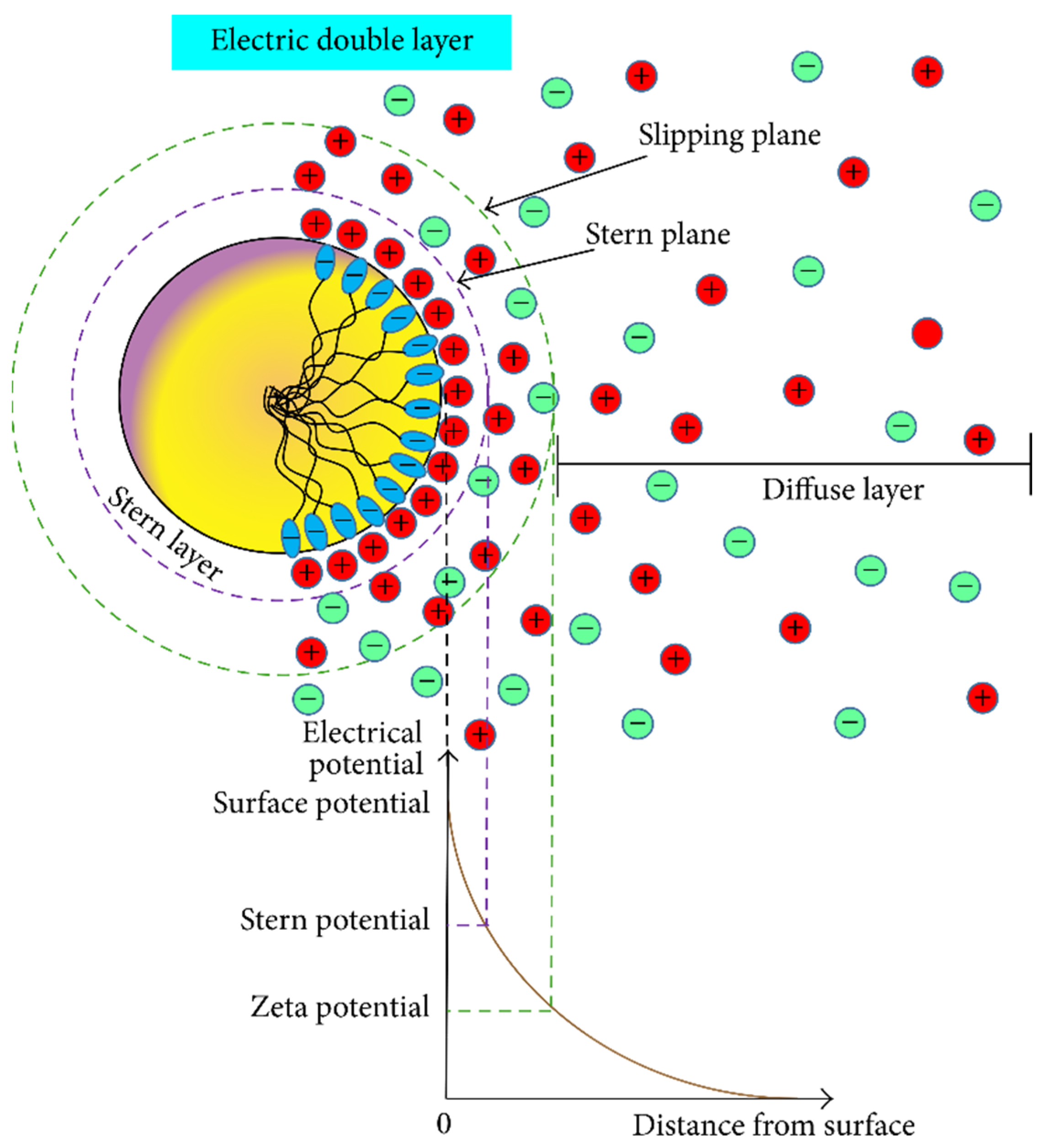 Molecules 28 04331 g015