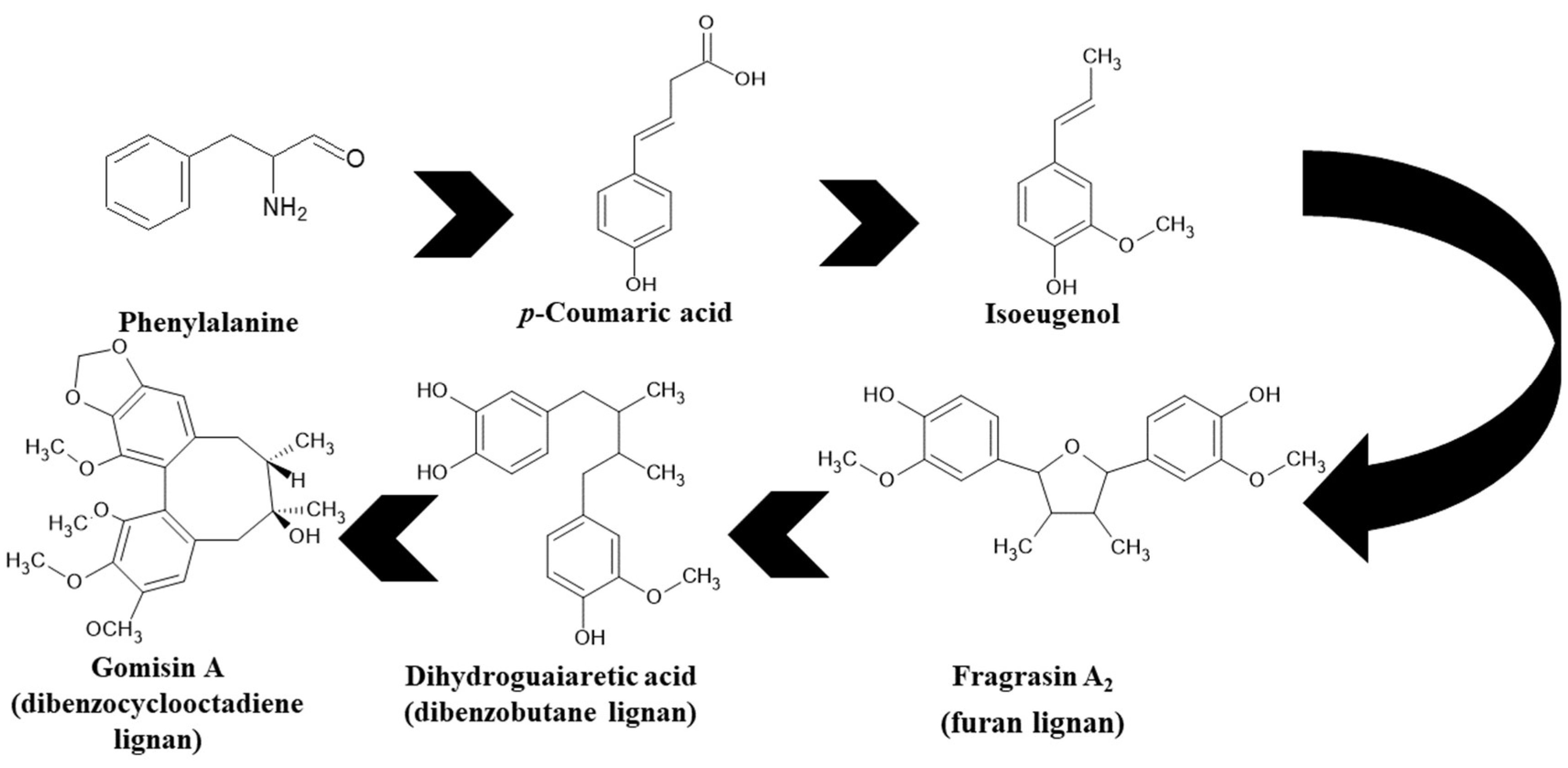 Molecules 28 04333 g002