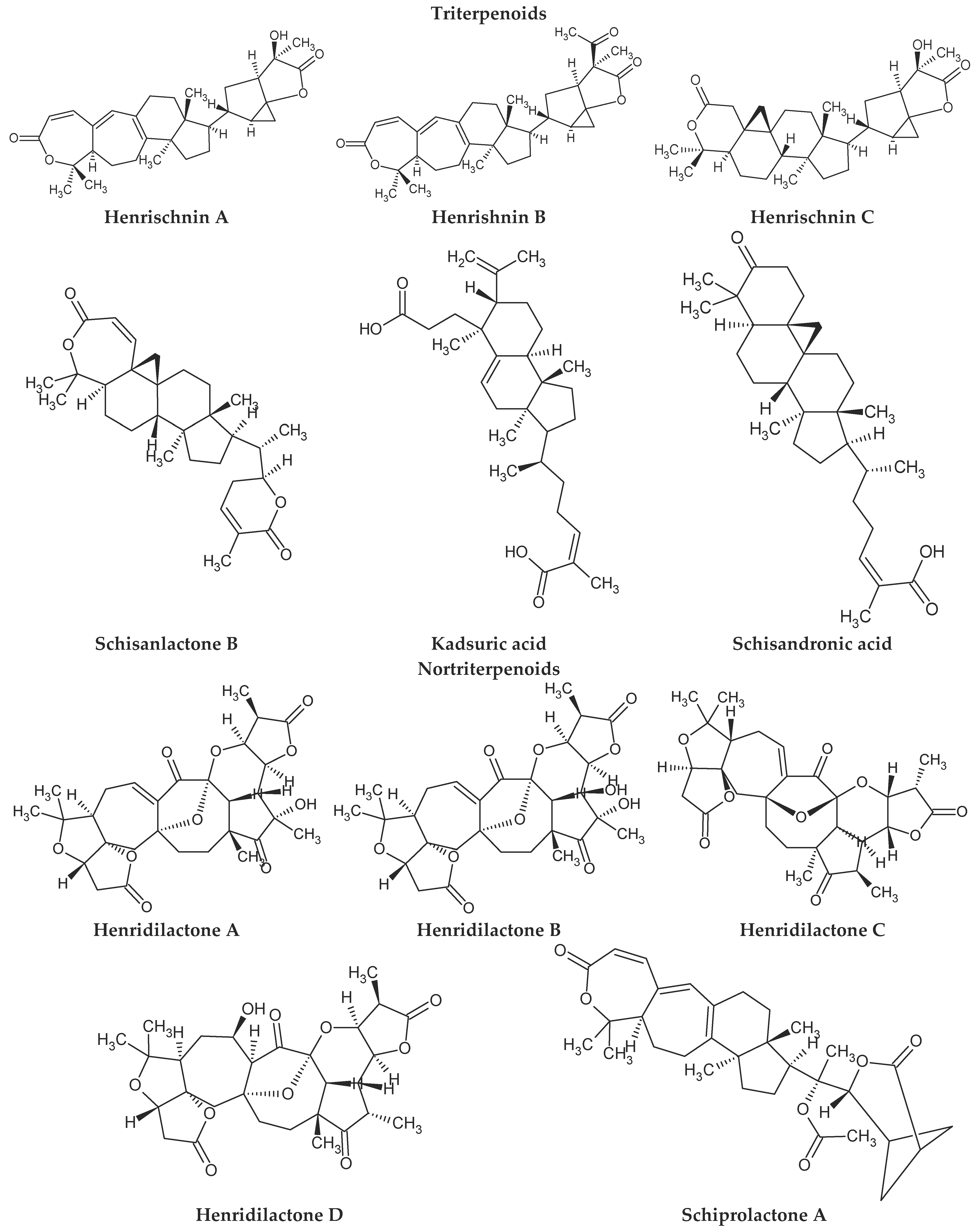 Molecules 28 04333 g005b