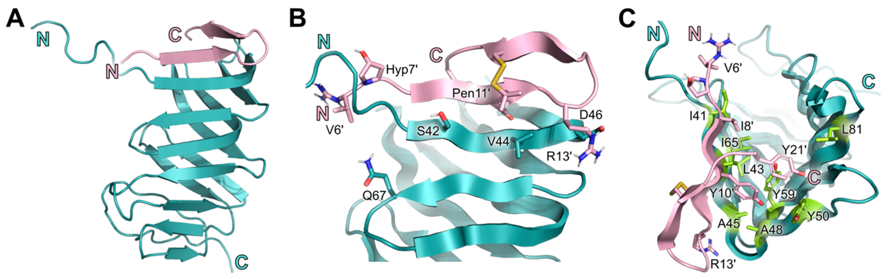 Molecules 28 04335 g004