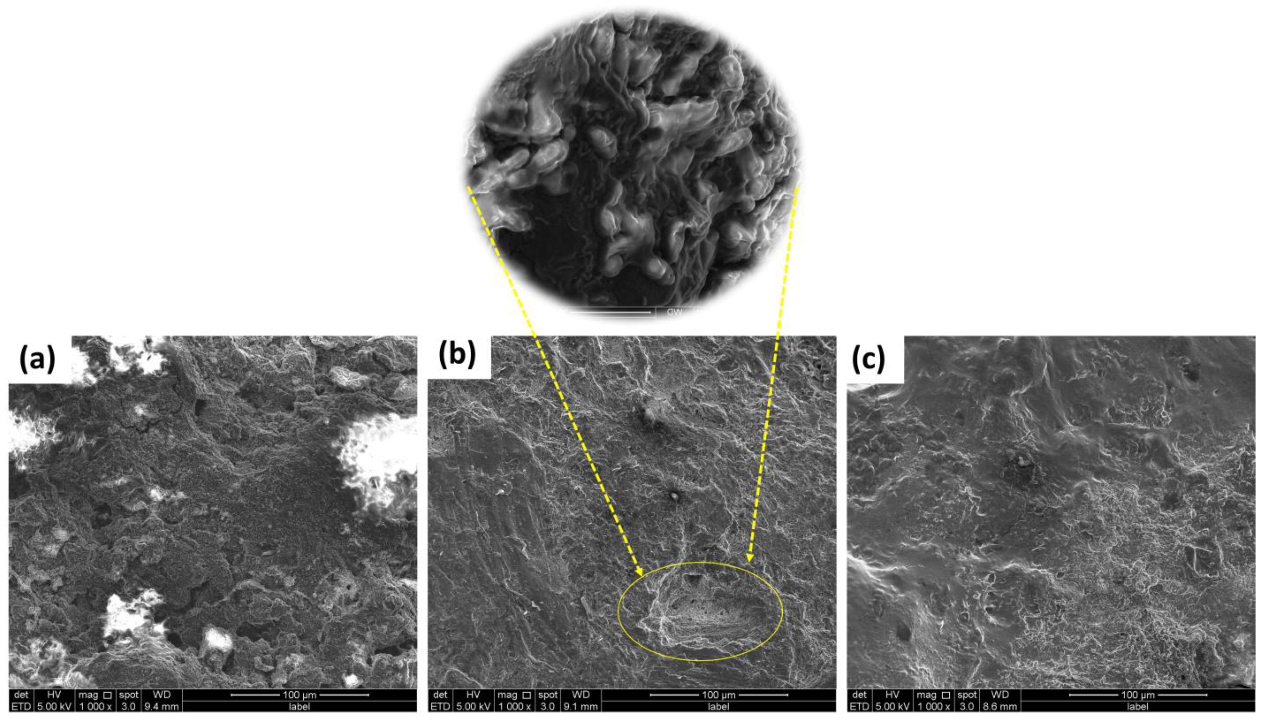 Molecules 28 04349 g008 Molecules 28 04349 g008