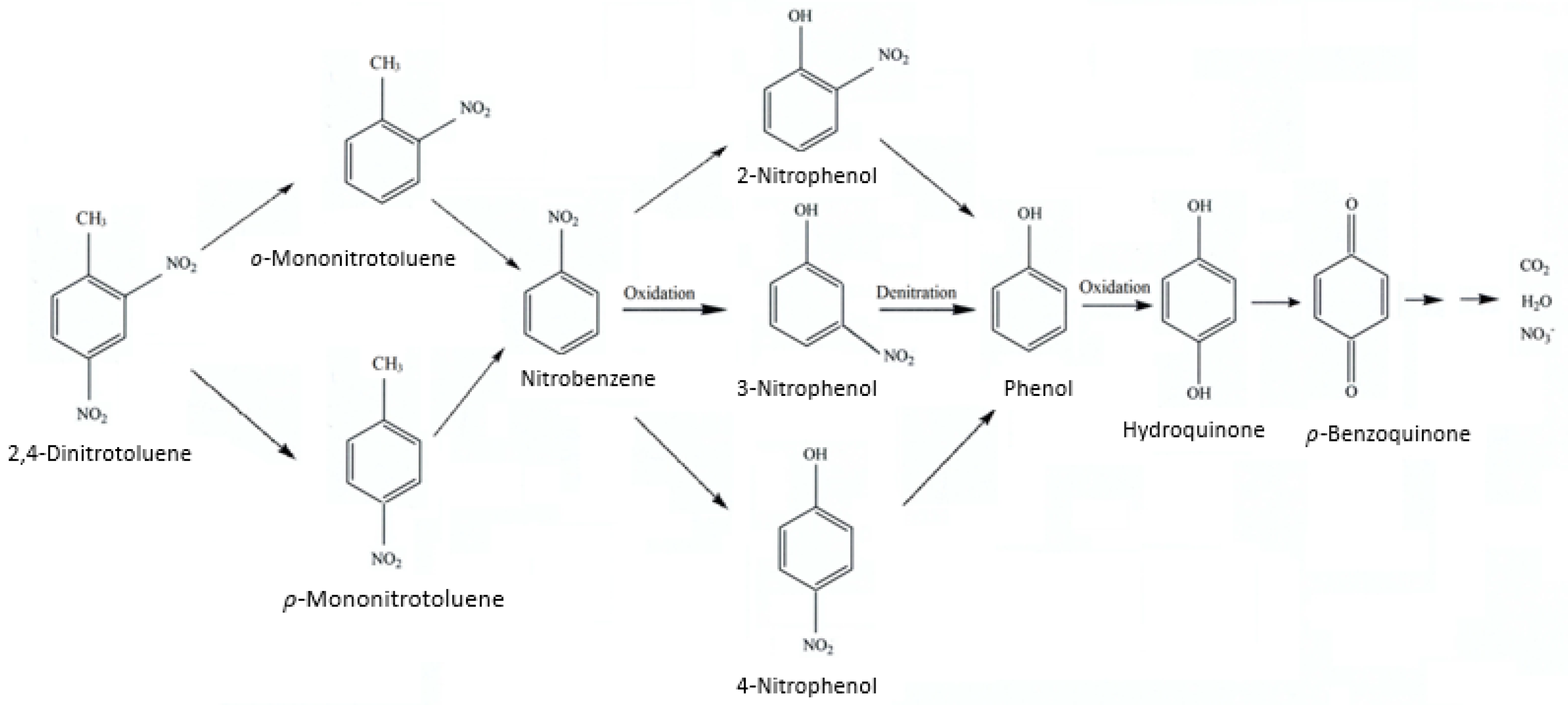 Molecules 28 04351 g011