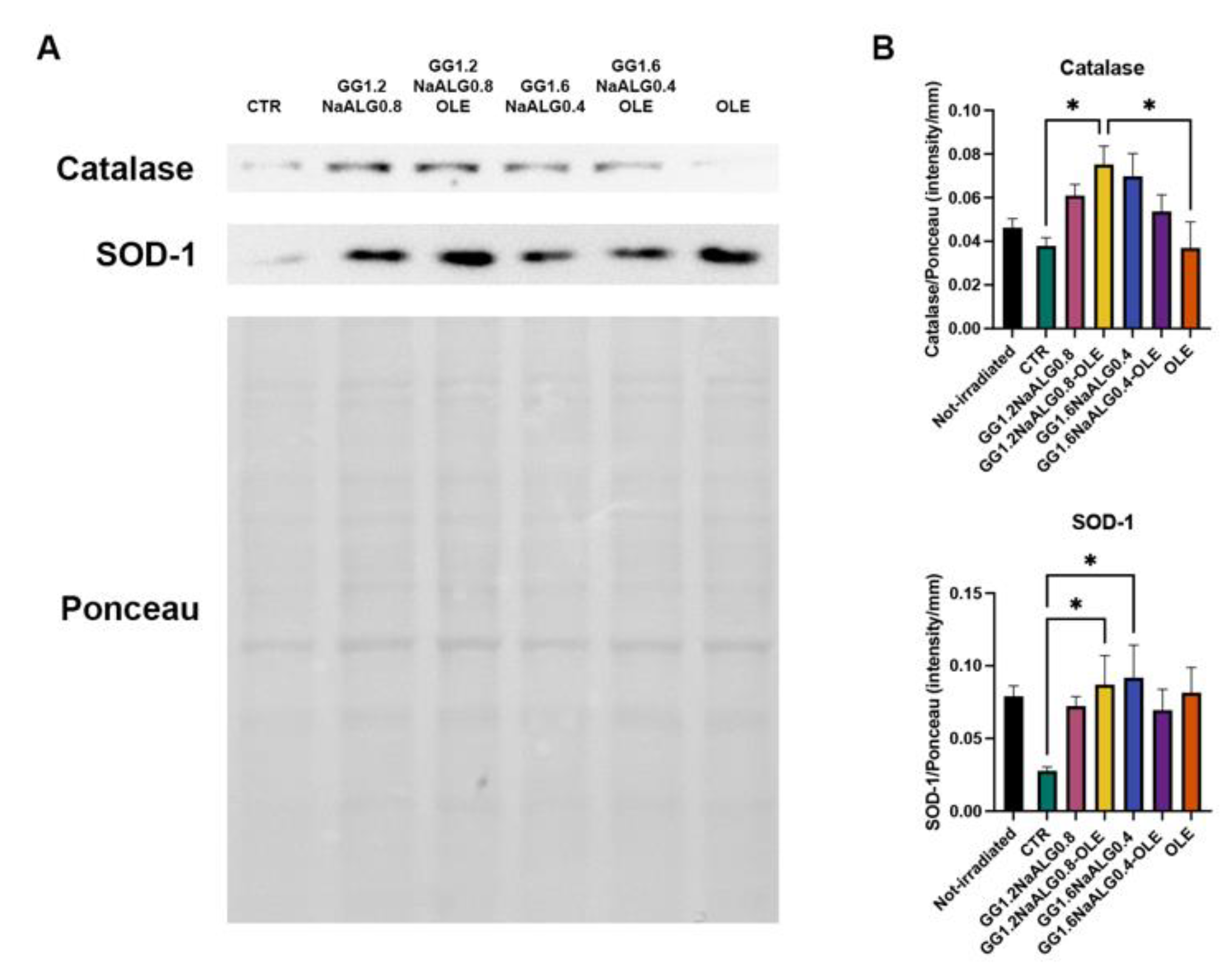 Molecules 28 04352 g009