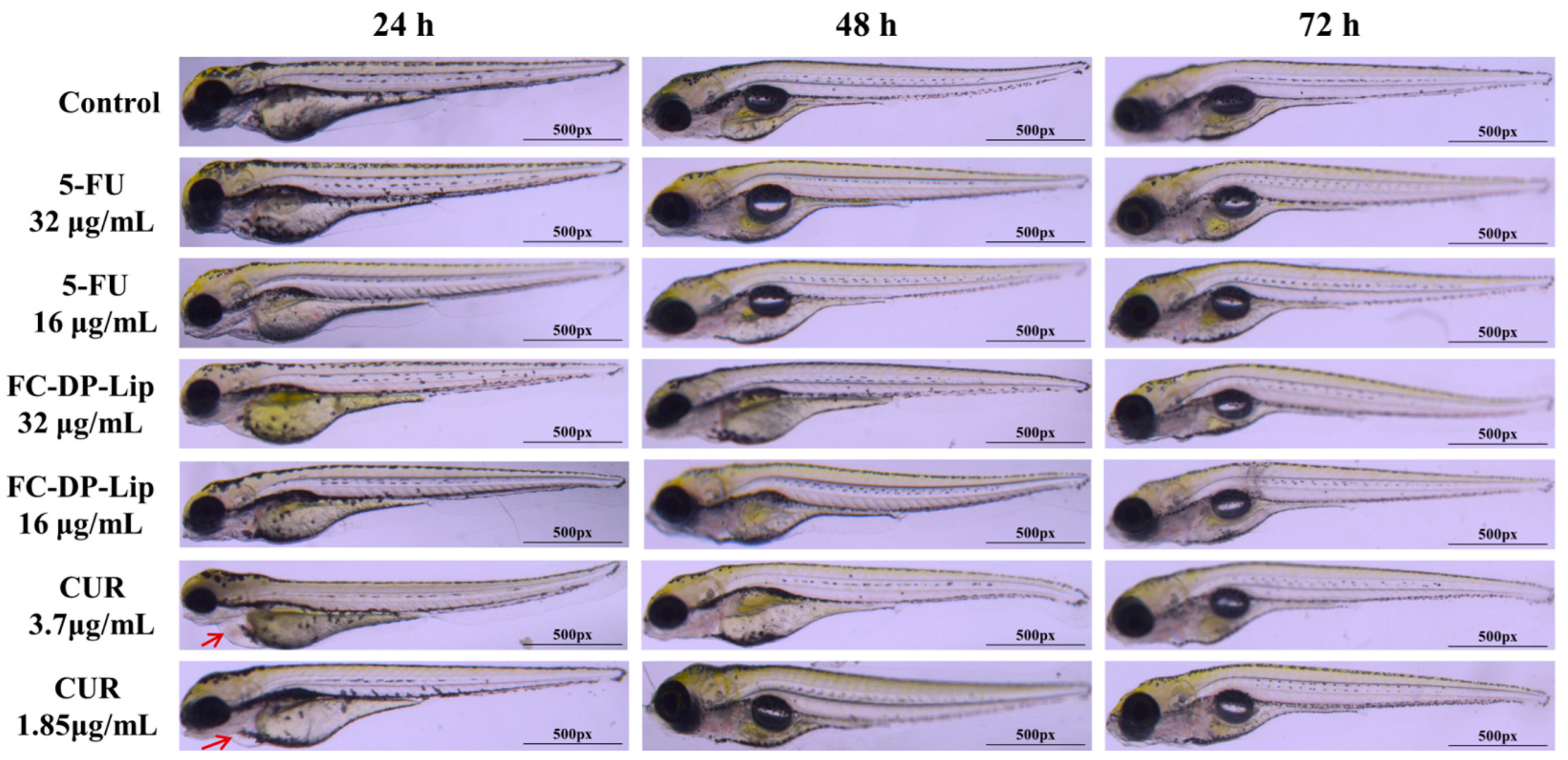 Molecules 28 04353 g005 Molecules 28 04353 g005