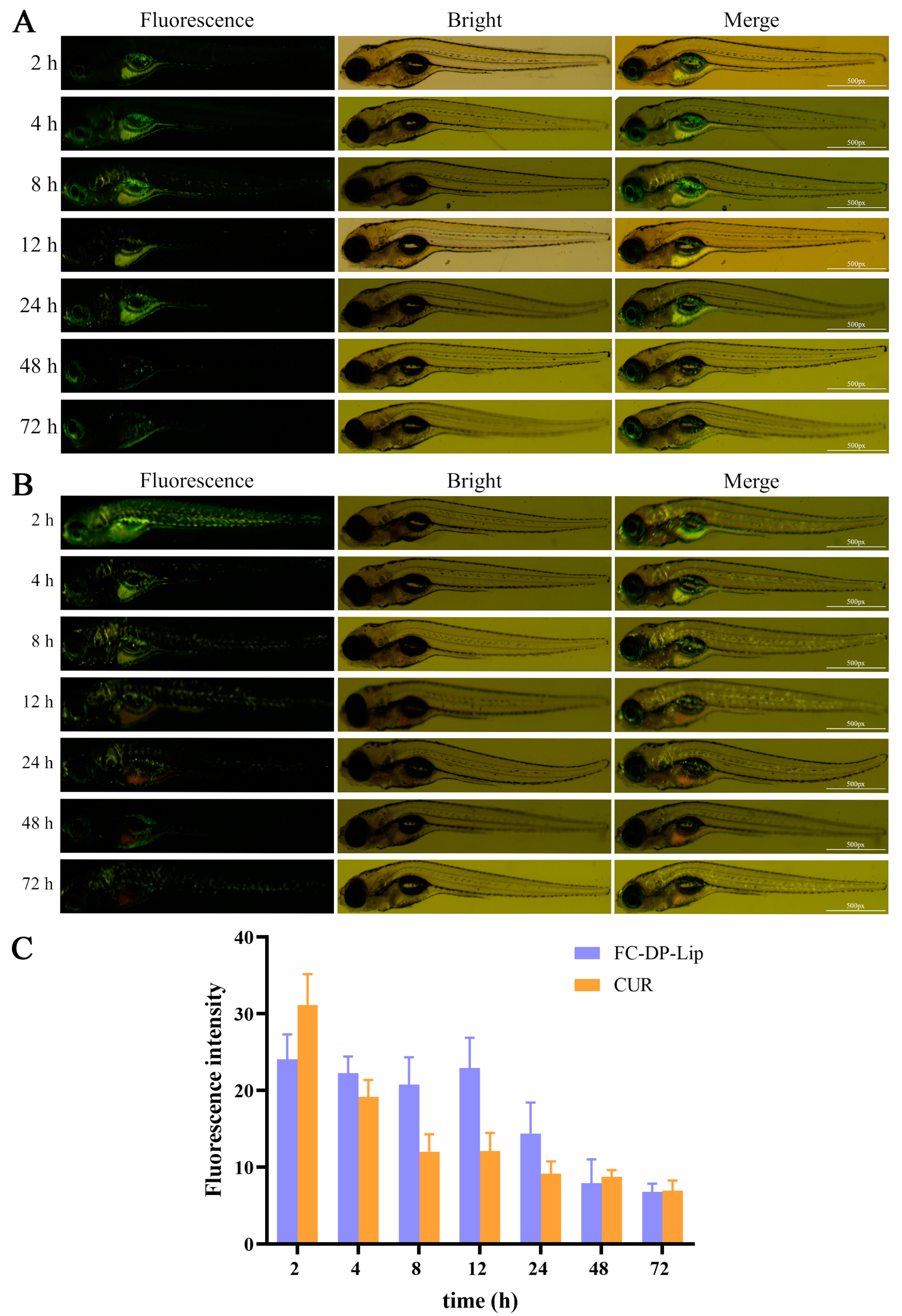 Molecules 28 04353 g006 Molecules 28 04353 g006