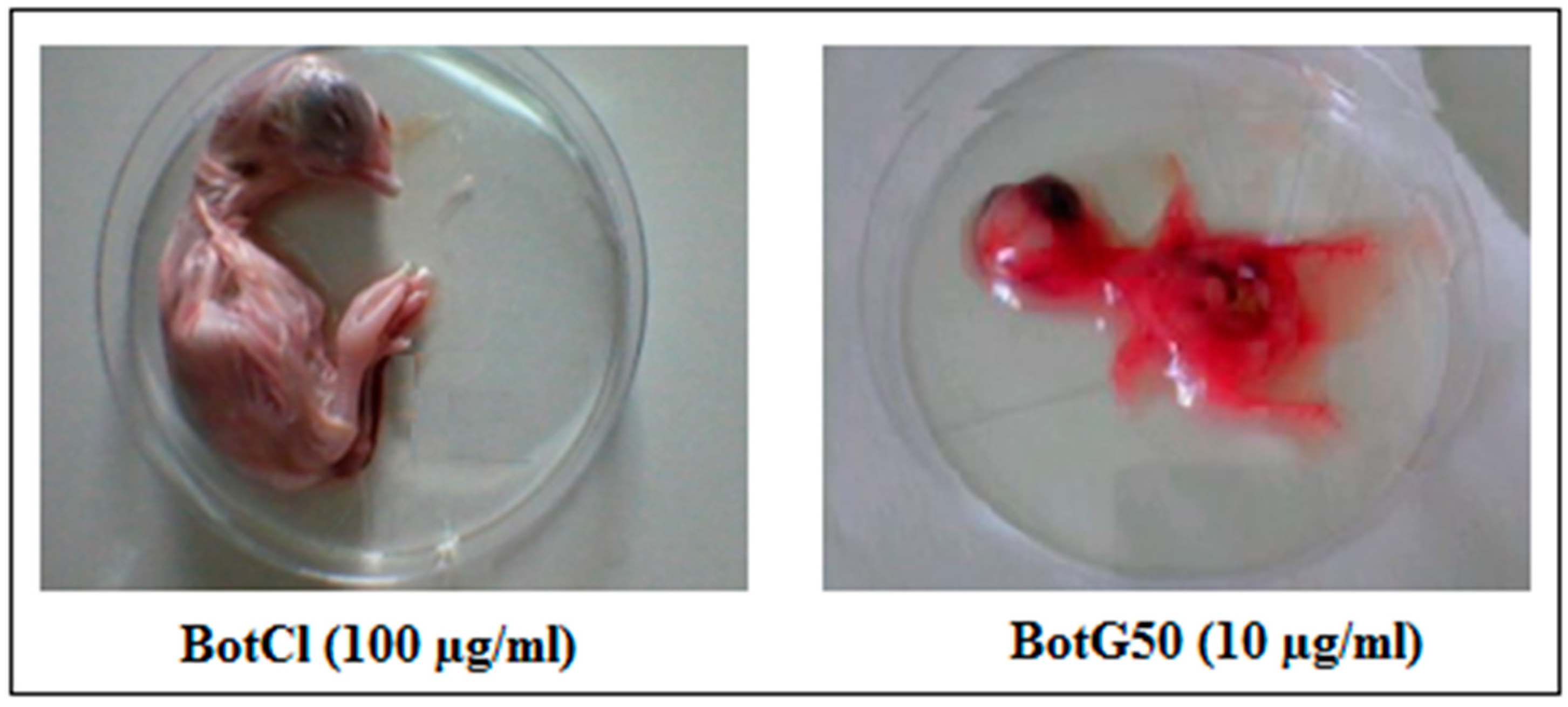Molecules 28 04355 g006