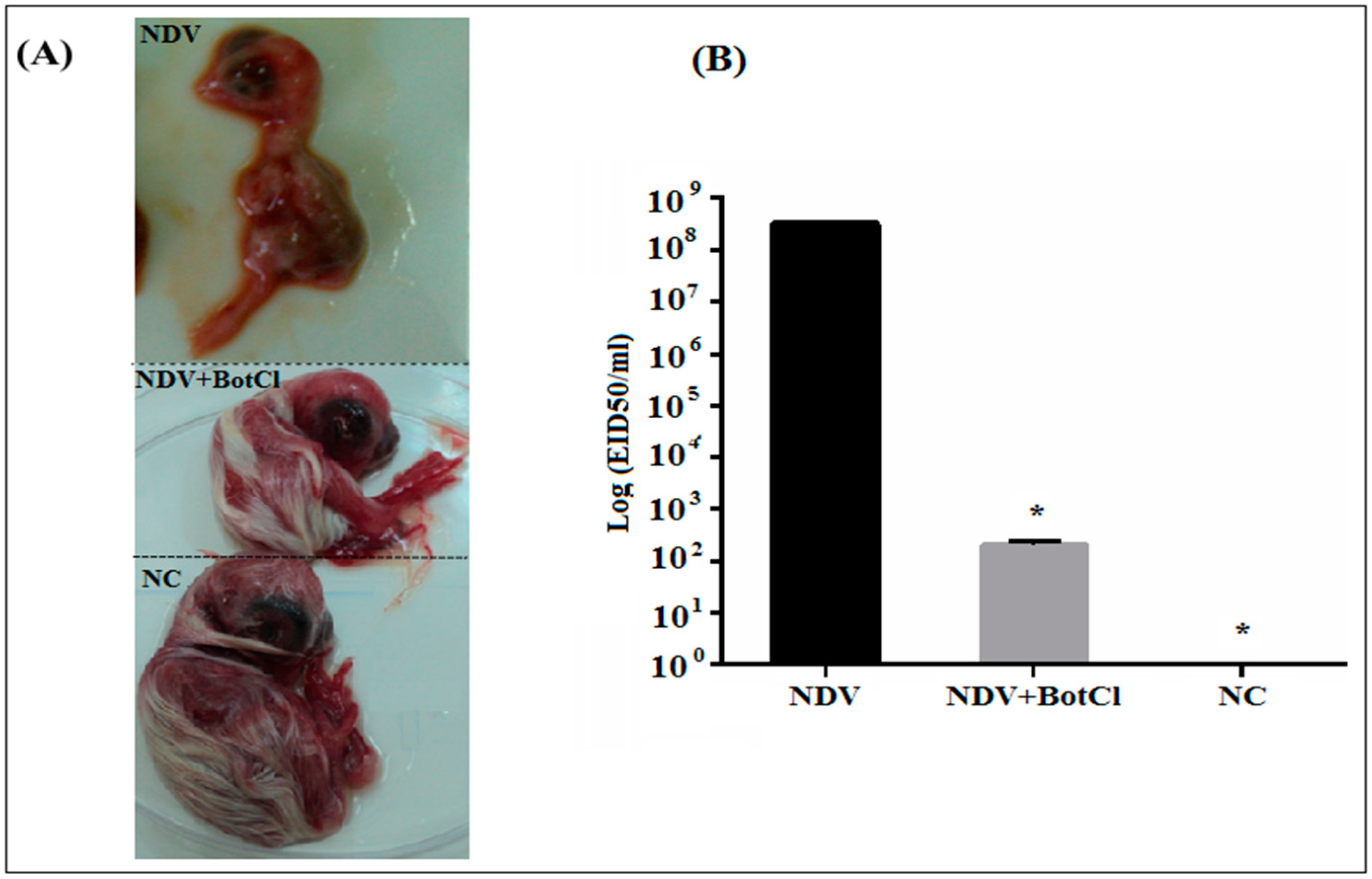 Molecules 28 04355 g007